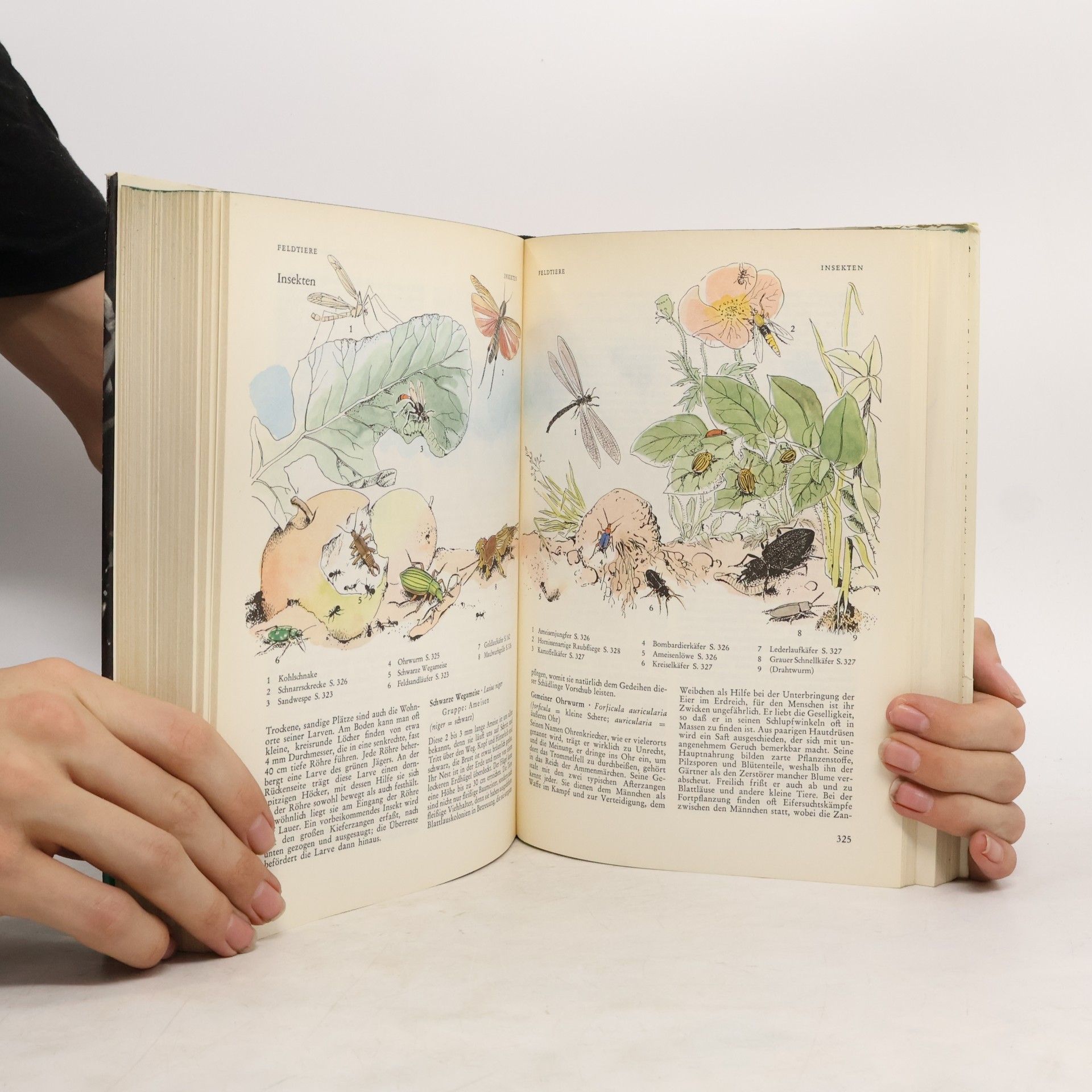 Wilhelm Bardorff Blick ins Buch der Natur