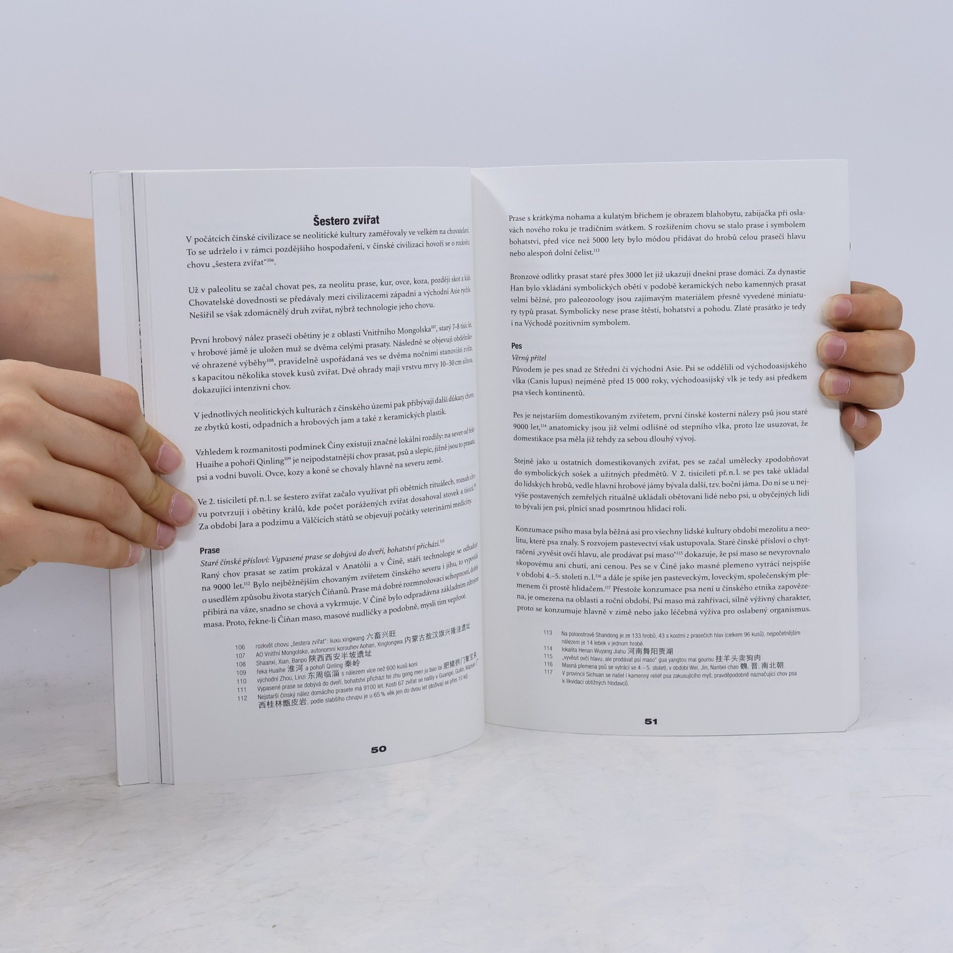 Vít Vojta Čínský svět : jak porozumět současné Číně, čínskému chování a myšlení