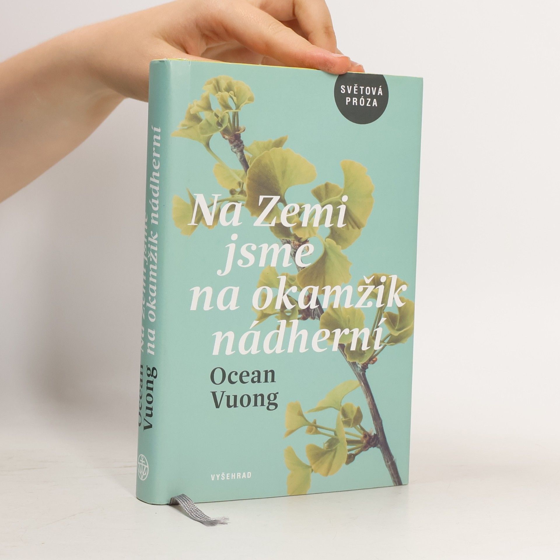 Ocean Vuong Na Zemi jsme na okamžik nádherní