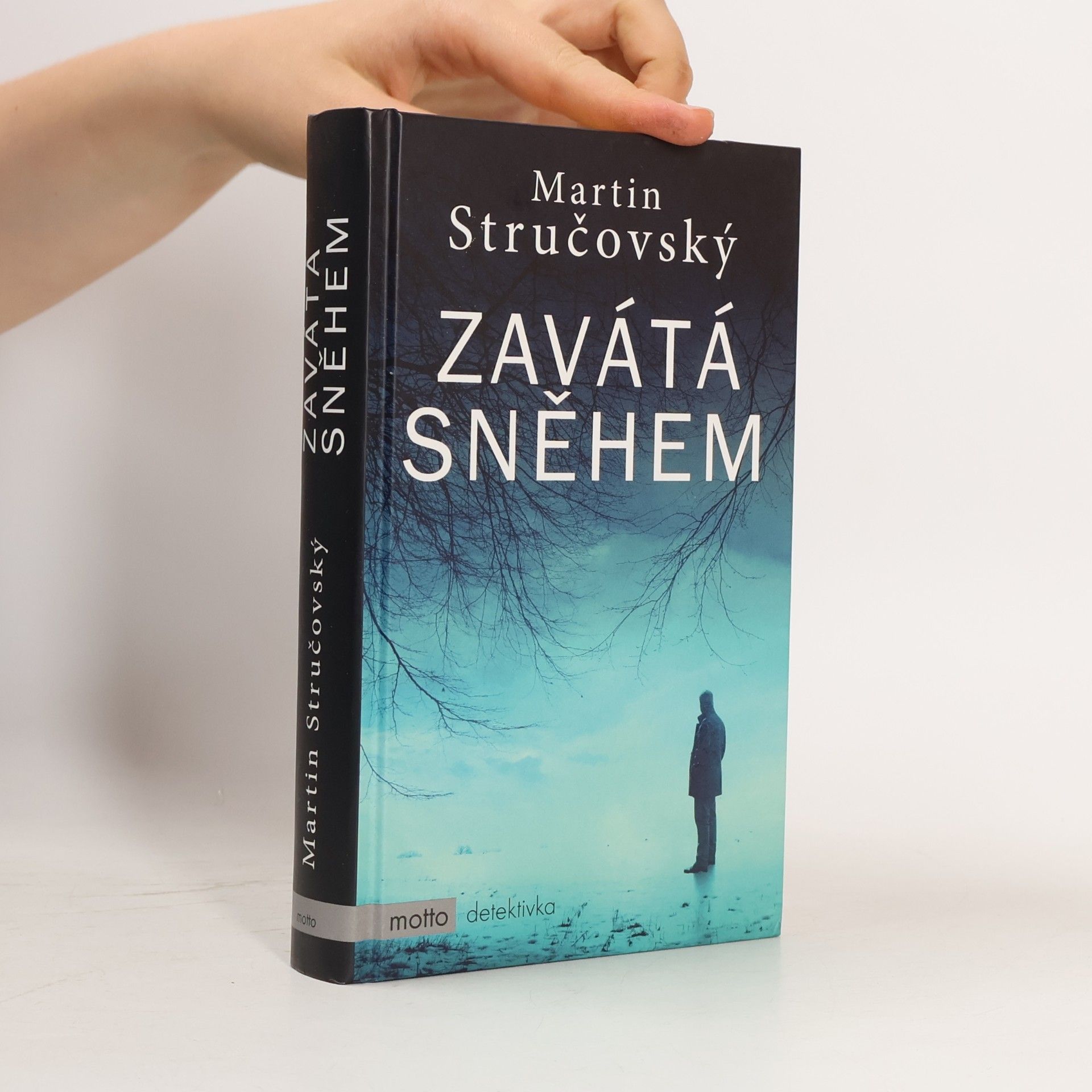 Martin Stručovský Zavátá sněhem