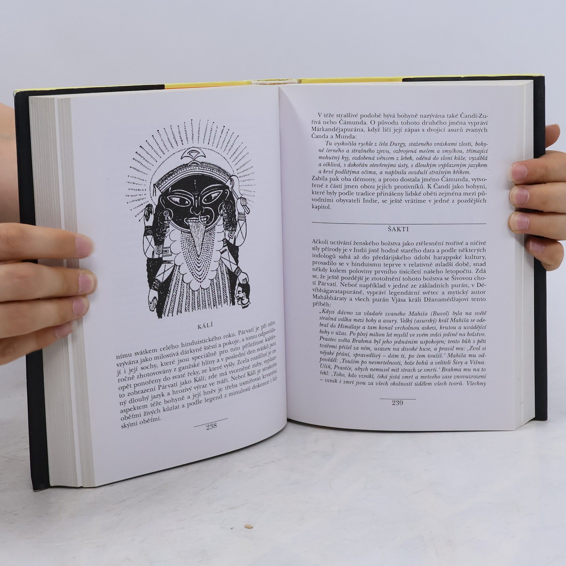 Dušan Zbavitel Bohové s lotosovýma očima: Hinduistické mýty v indické literatuře tří tisíciletí