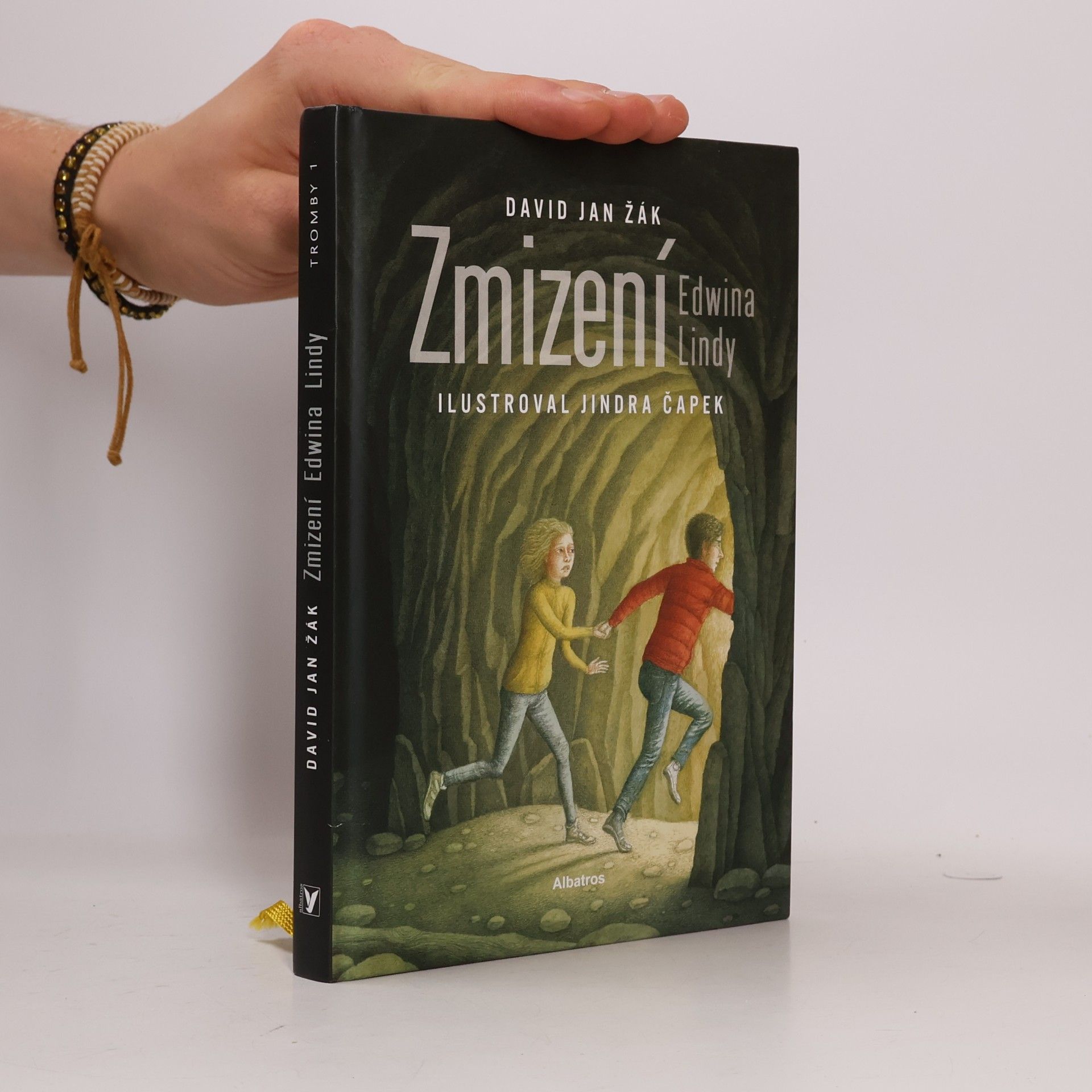 Jiří Tomek Zmizení Edwina Lindy