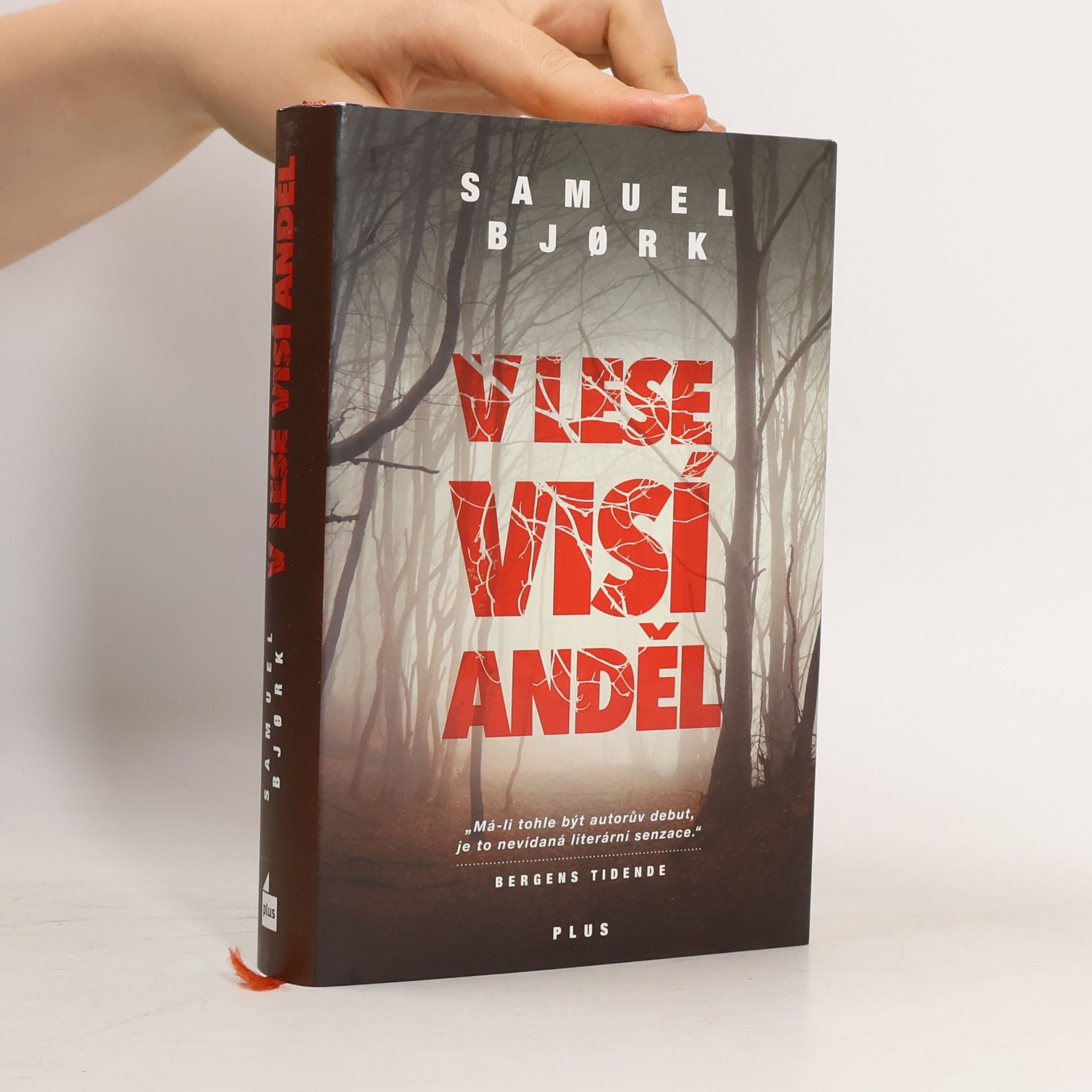 Samuel Bjork V lese visí anděl