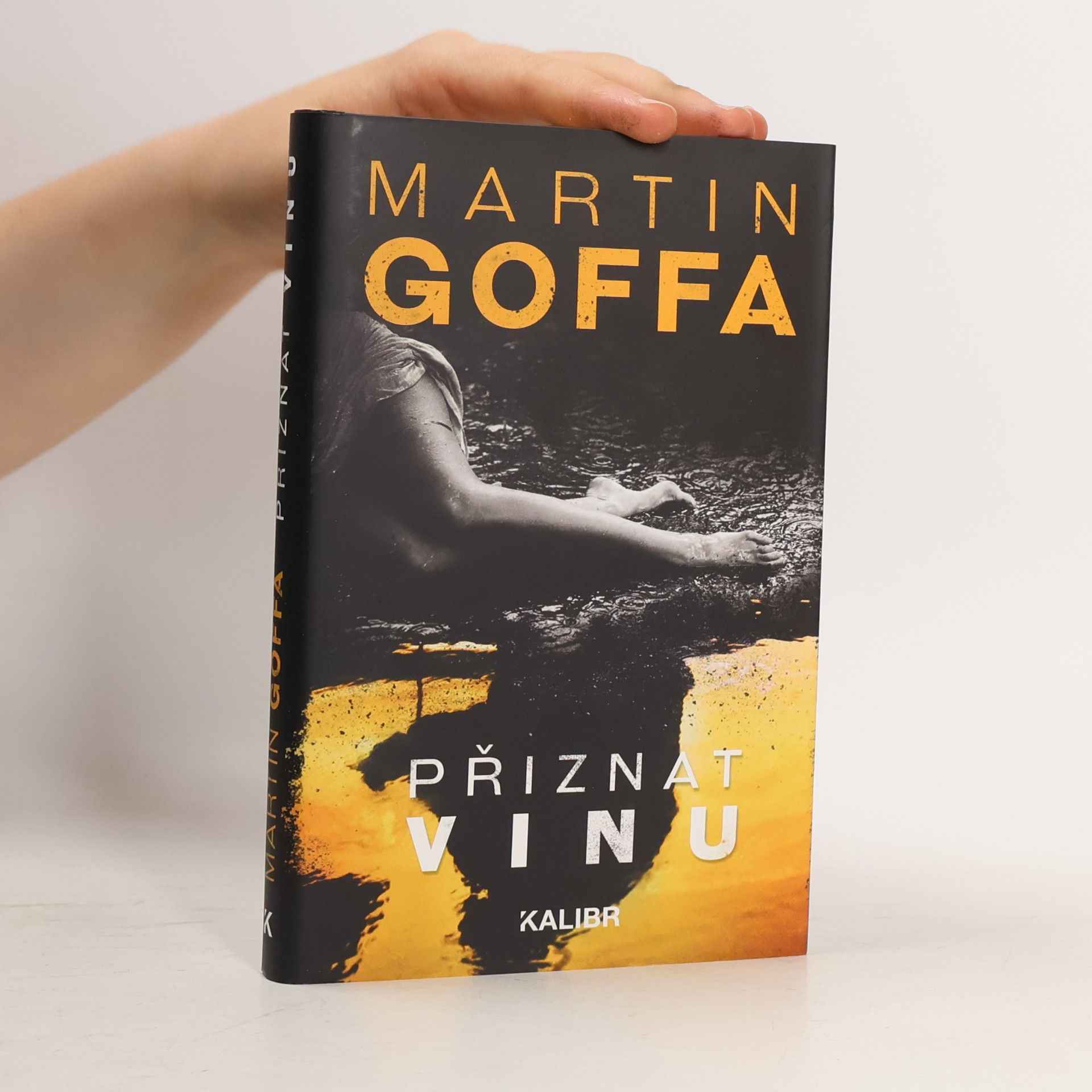 Martin Goffa Přiznat vinu