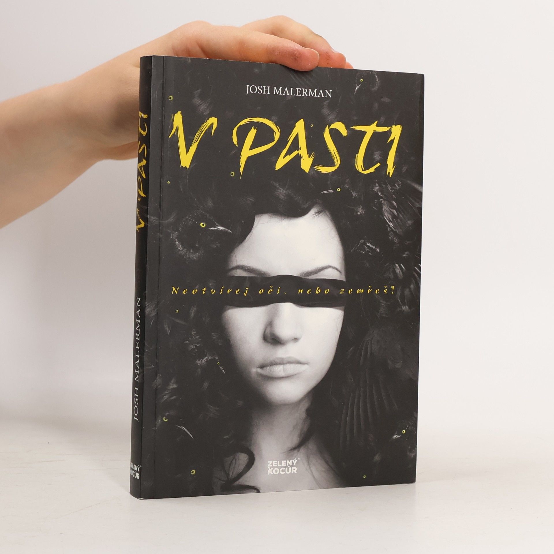 Josh Malerman V pasti