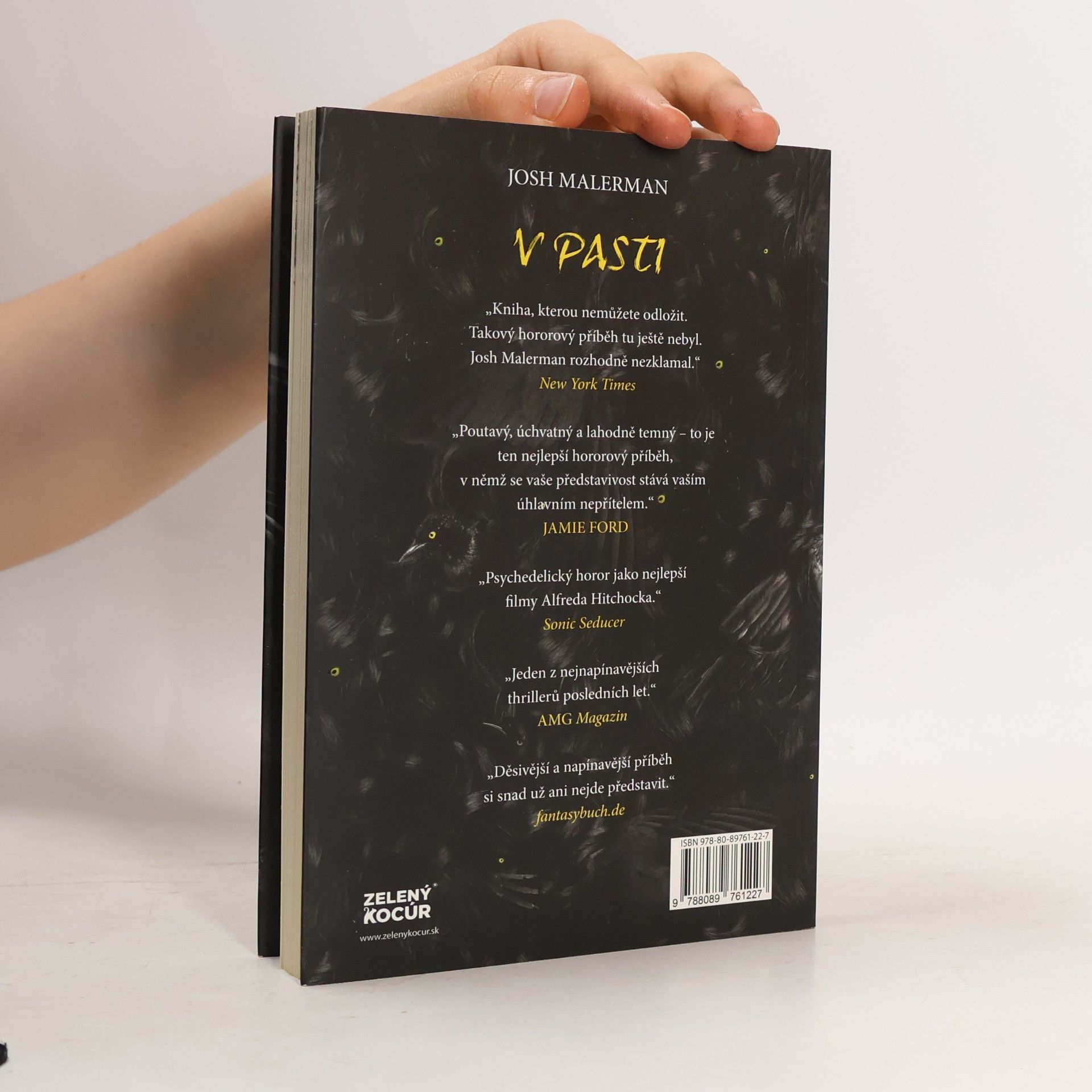Josh Malerman V pasti