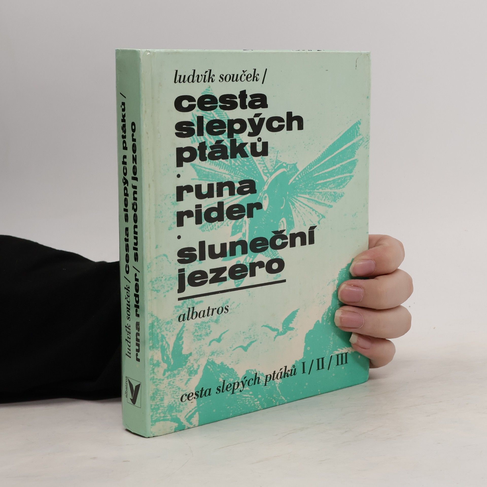 Ludvík Souček Cesta slepých ptáků. Runa rider. Sluneční jezero