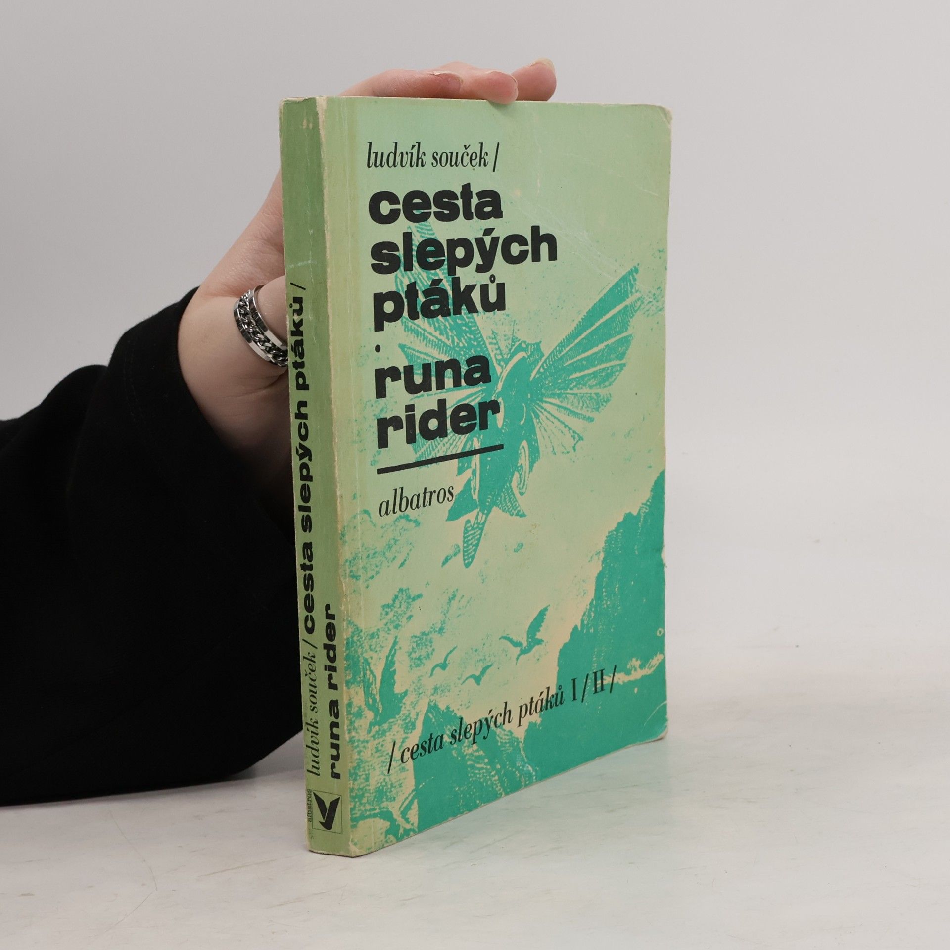 Ludvík Souček Cesta slepých ptáků. Runa rider
