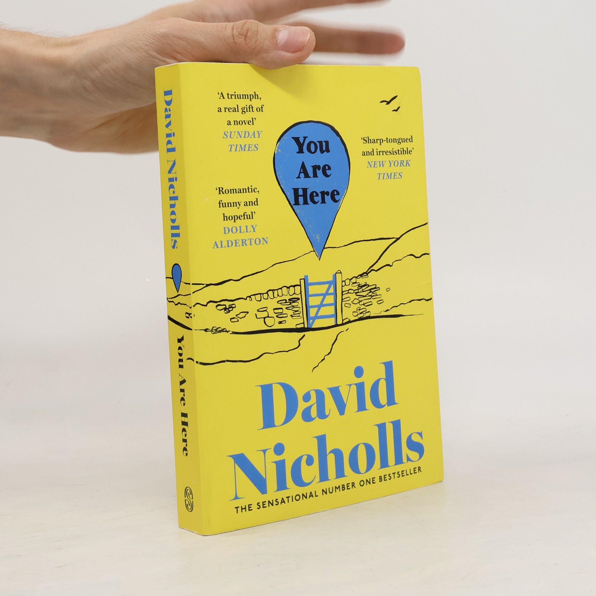 David Nicholls You Are Here