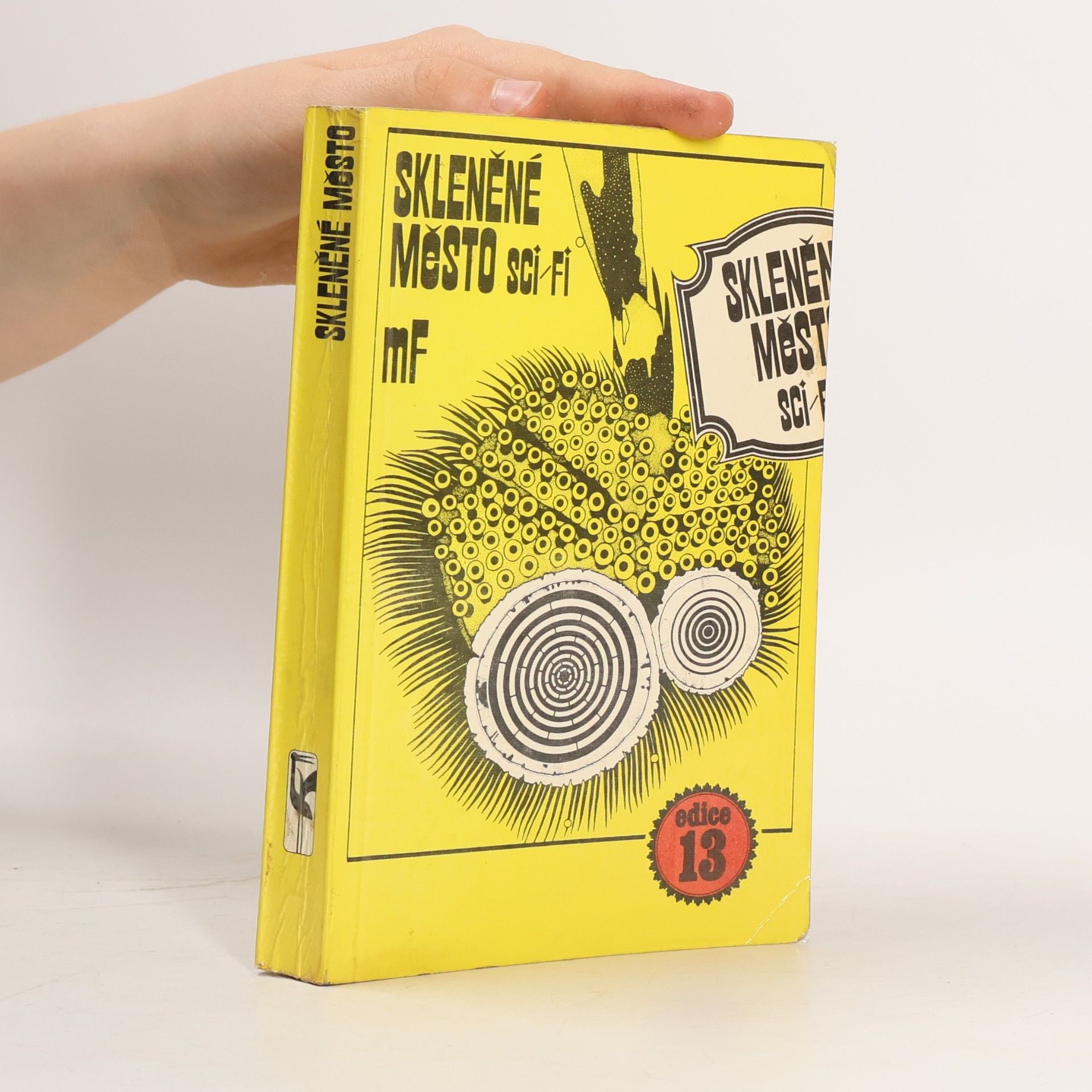 Kolektiv autorů Skleněné město