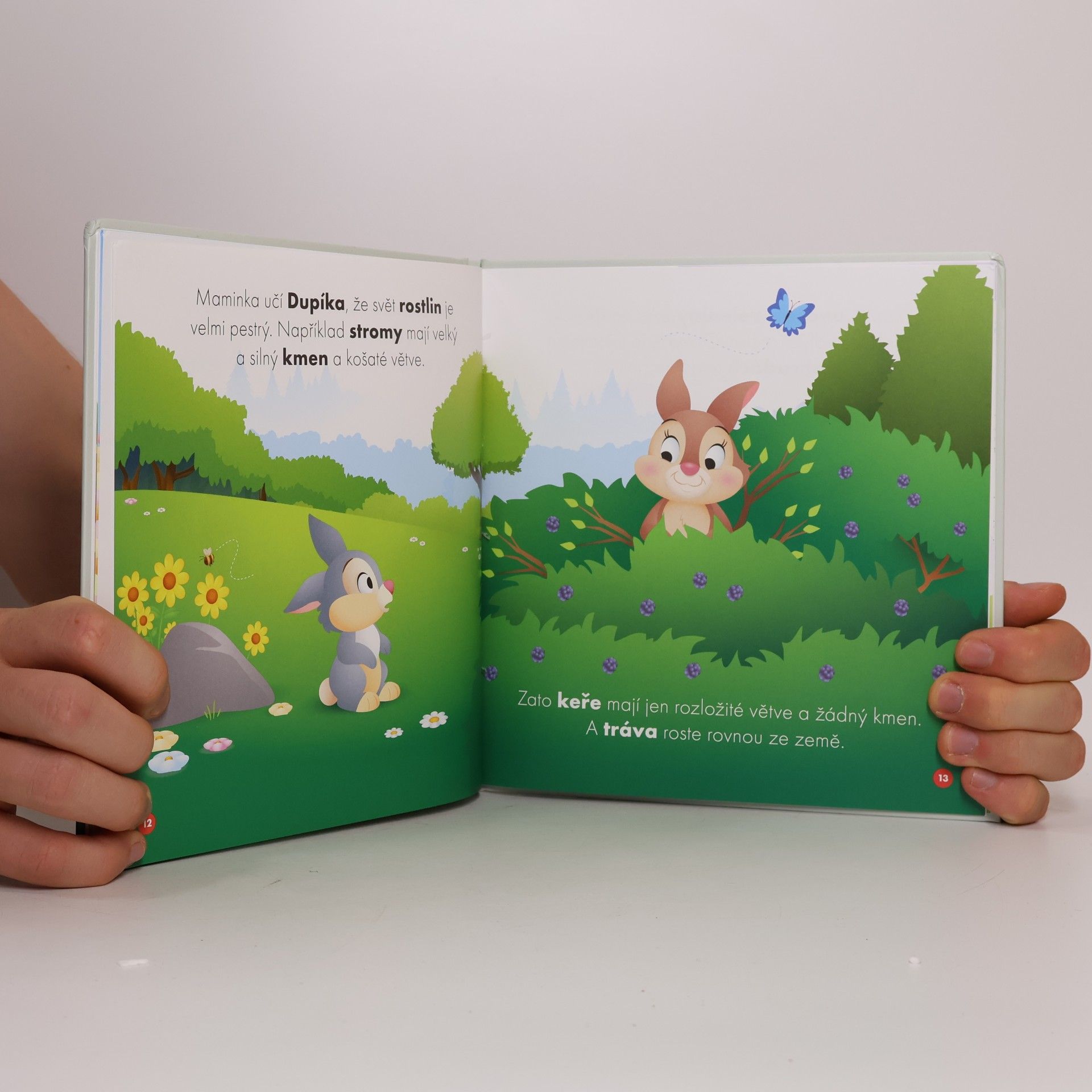 Collectif d'auteurs Moji první kamarádi 19. Dupík