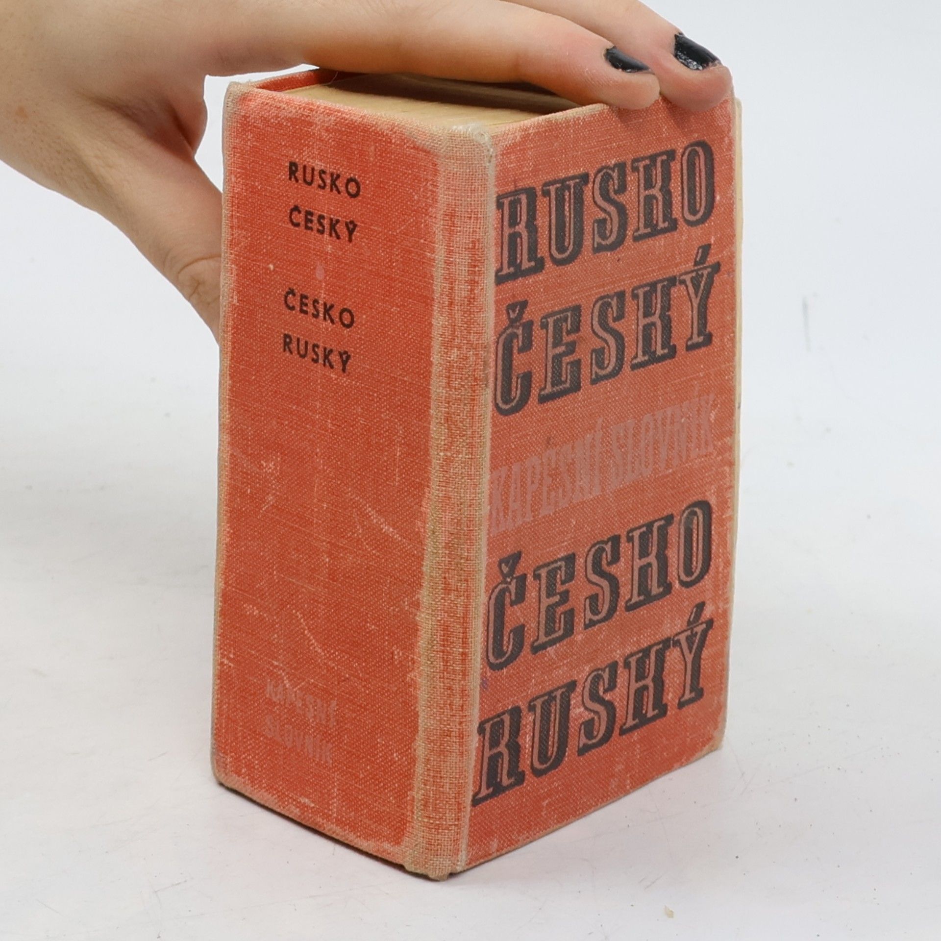 Collectif d'auteurs Rusko-český, česko-ruský kapesní slovník