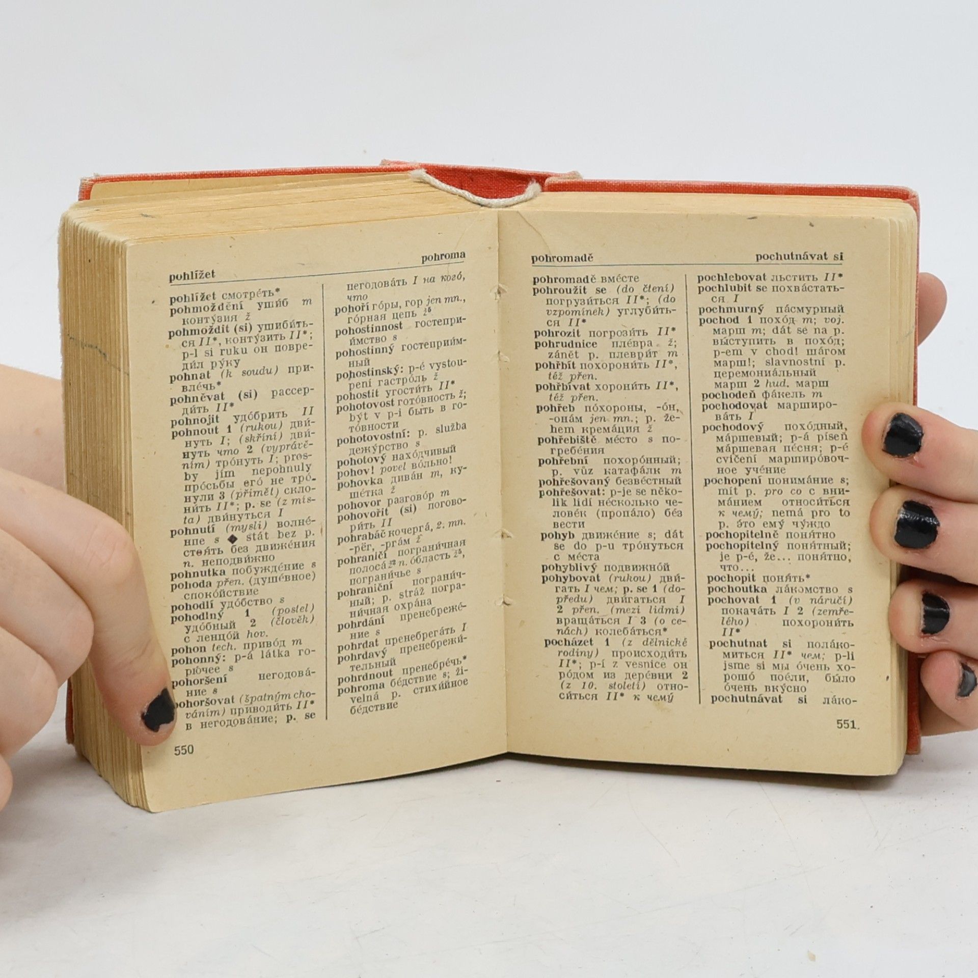 Autorenkollektiv Rusko-český, česko-ruský kapesní slovník