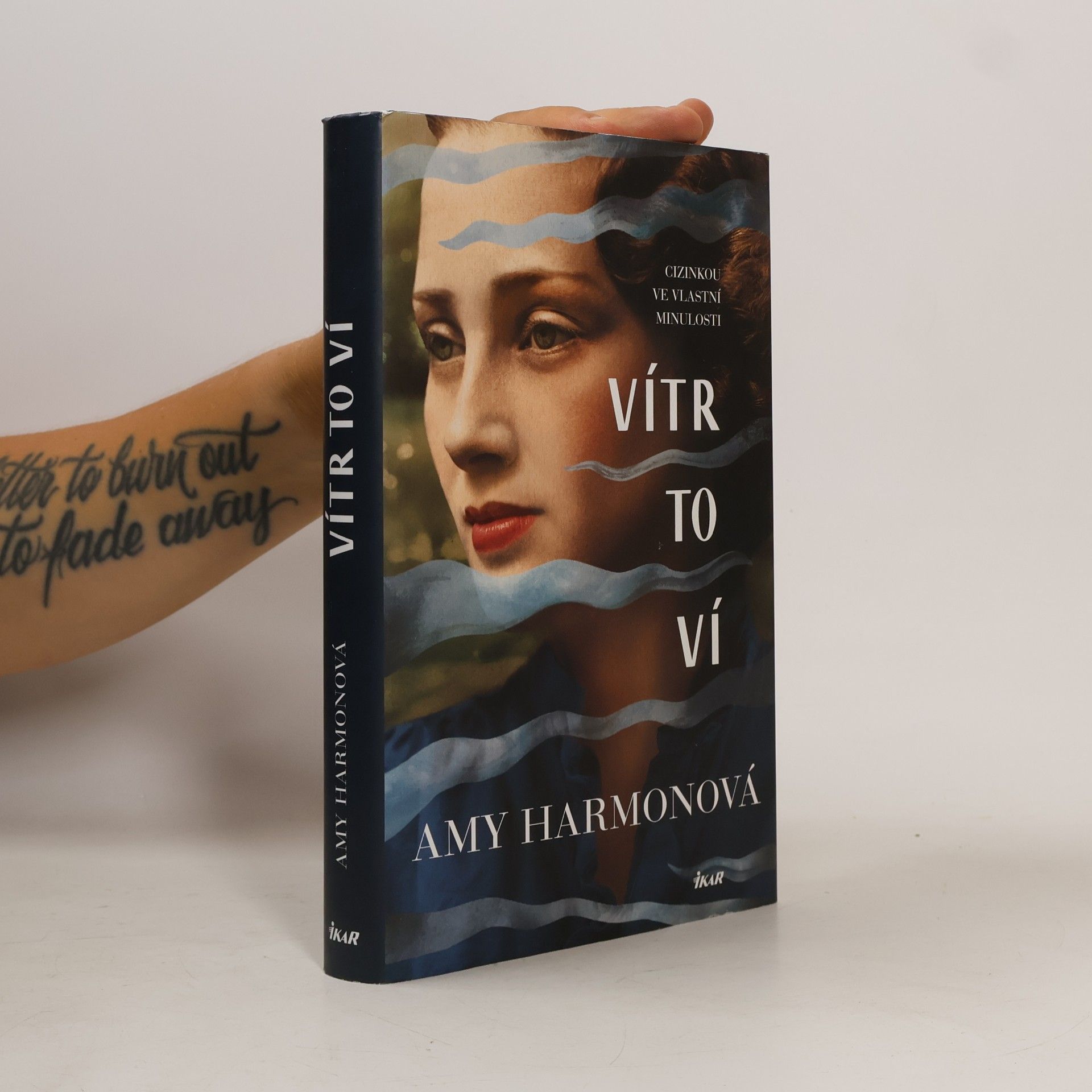 Amy Harmon Vítr to ví