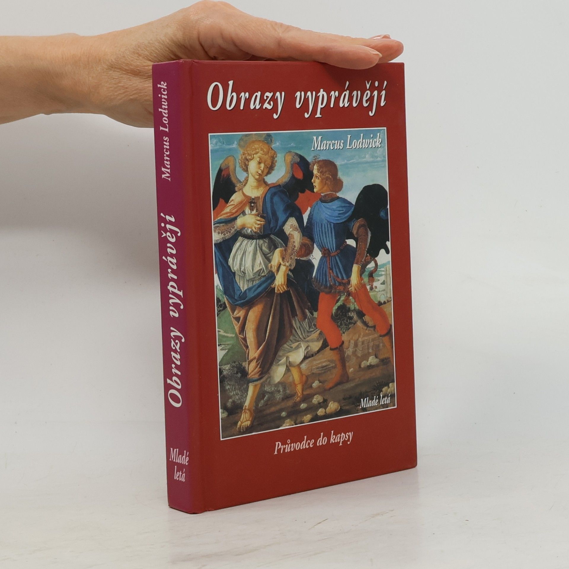 Marcus Lodwick Obrazy vyprávějí : průvodce do kapsy