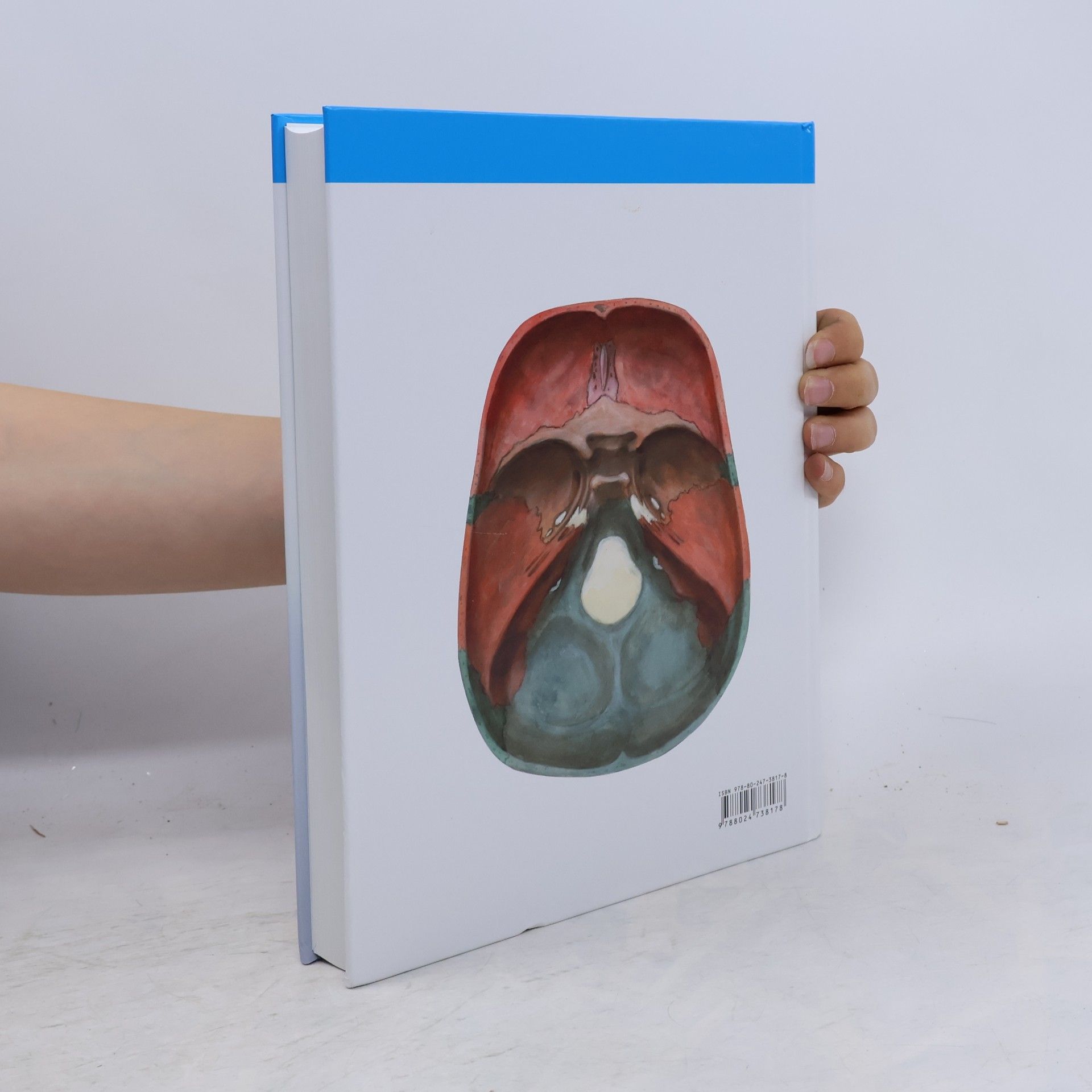 Oldřich Fejfar Anatomie 1