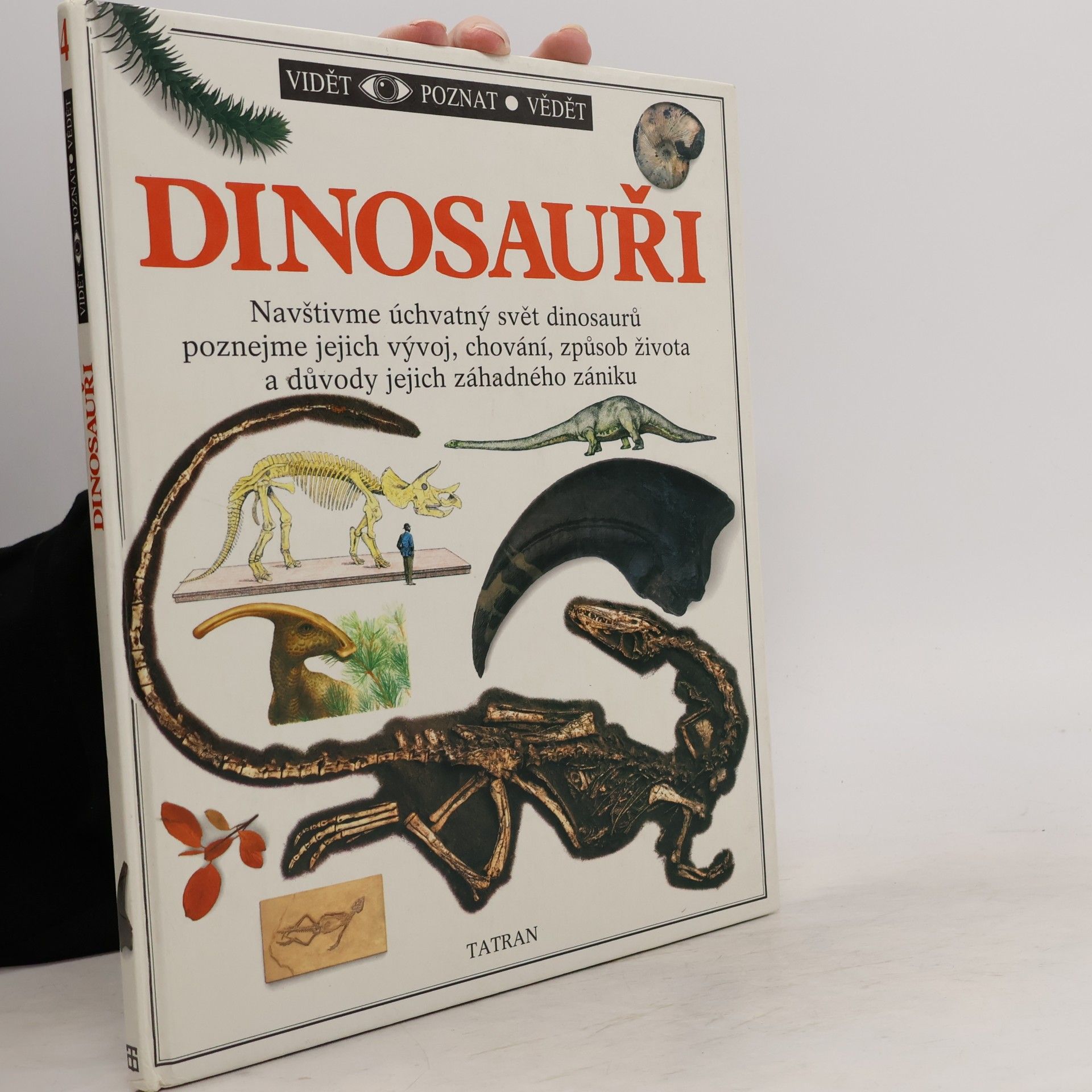 Auteurscollectief Dinosauři