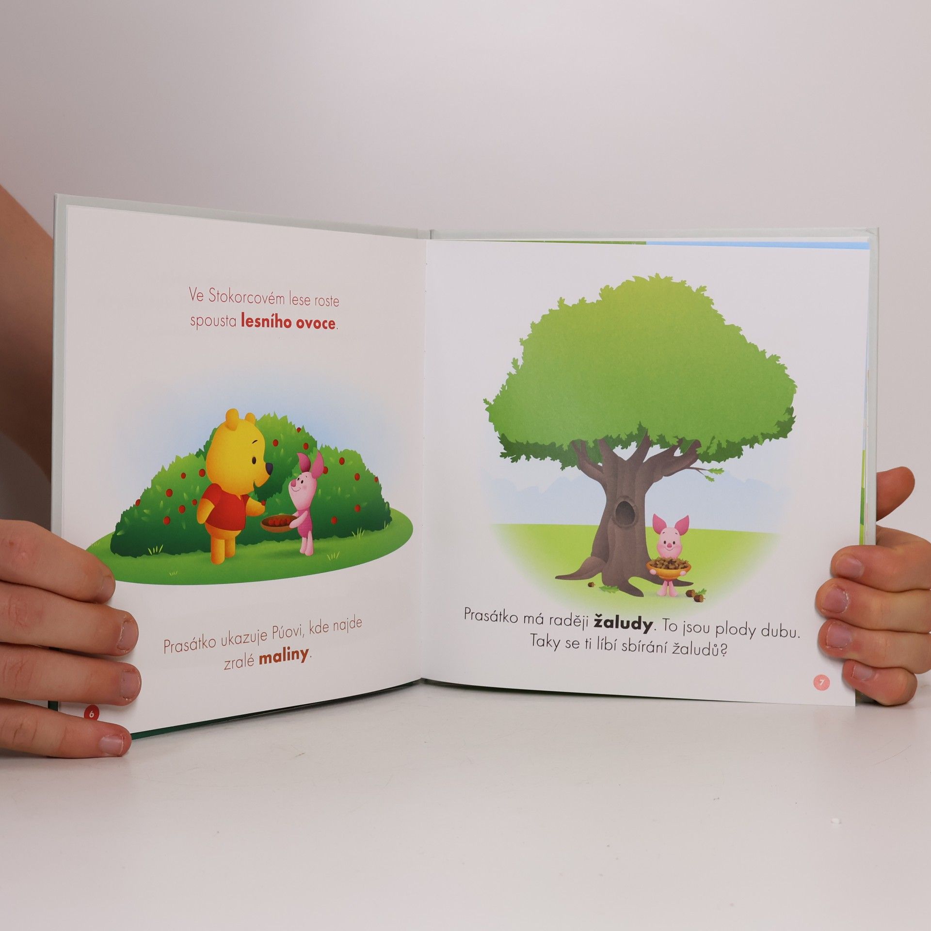 Various authors Moji první kamarádi 5: Medvídek Pú