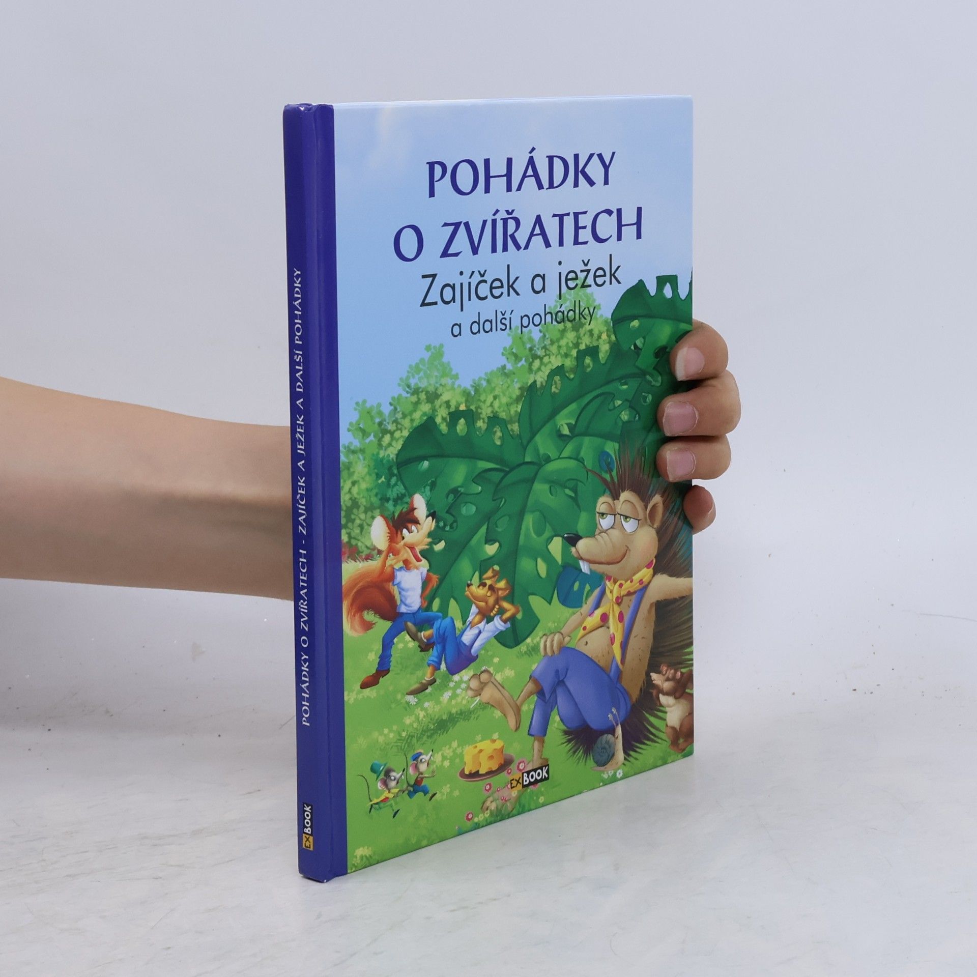 Collectif d'auteurs Zajíček a ježek a další pohádky