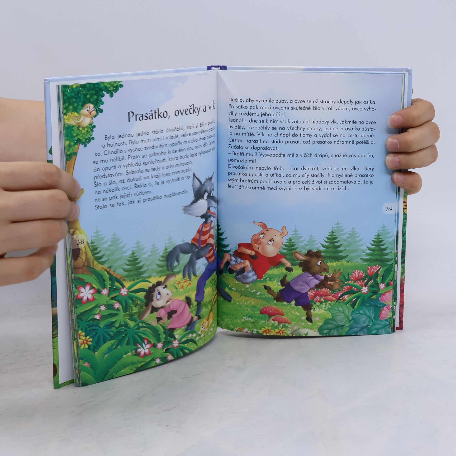 Collectif d'auteurs Zajíček a ježek a další pohádky