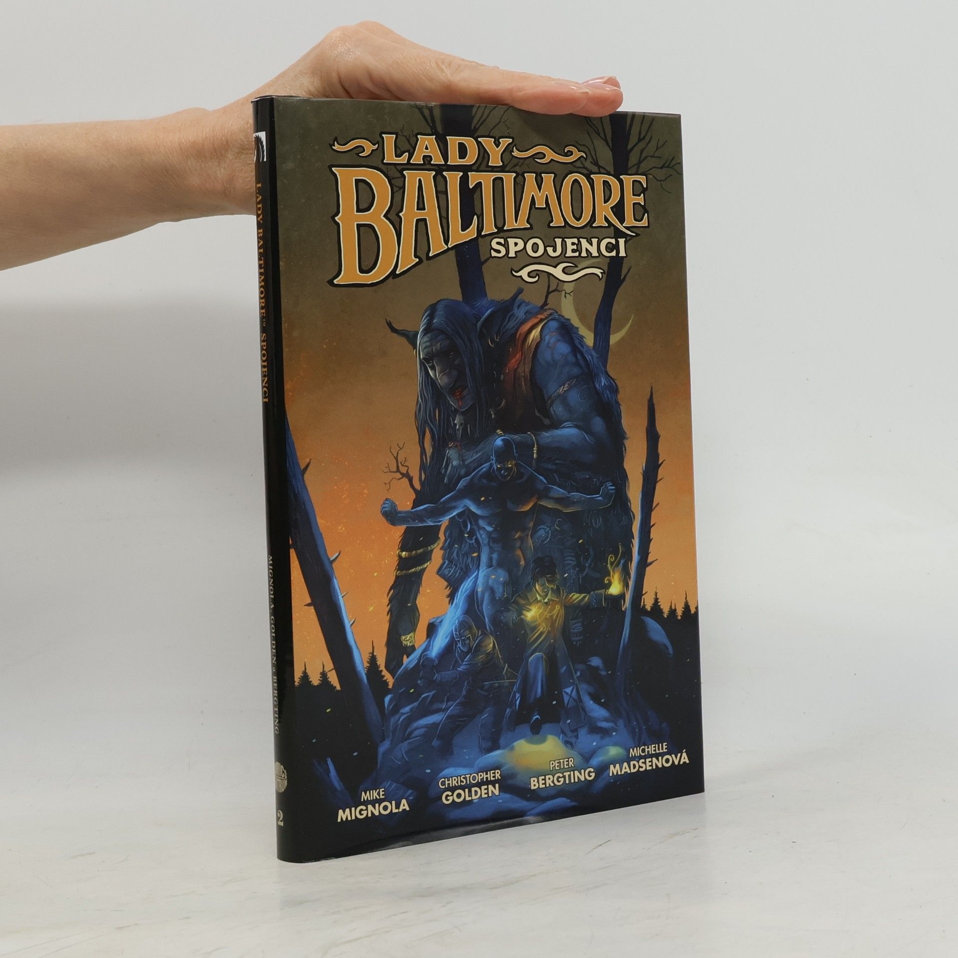 Lady Baltimore 2. Spojenci