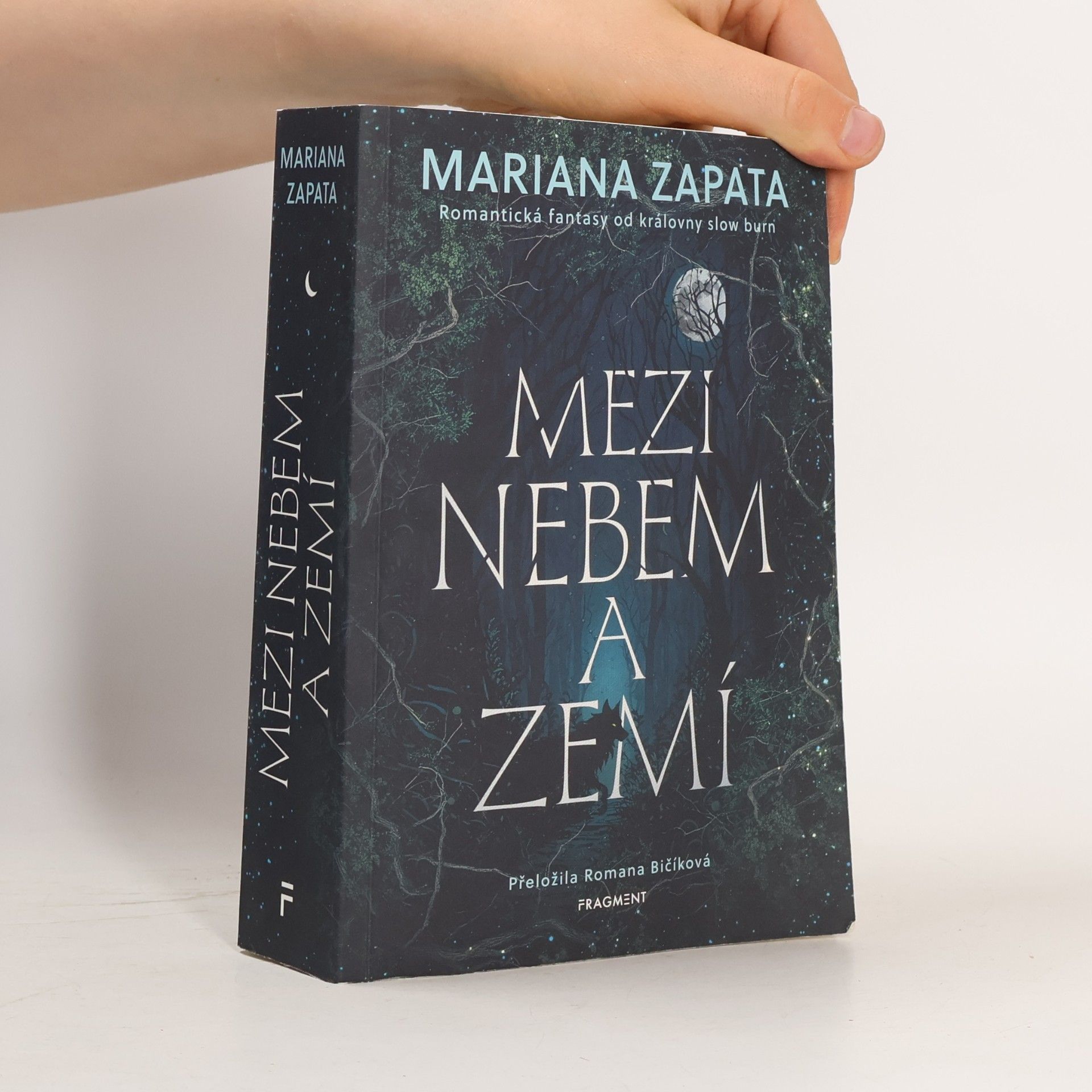 Mezi nebem a zemí