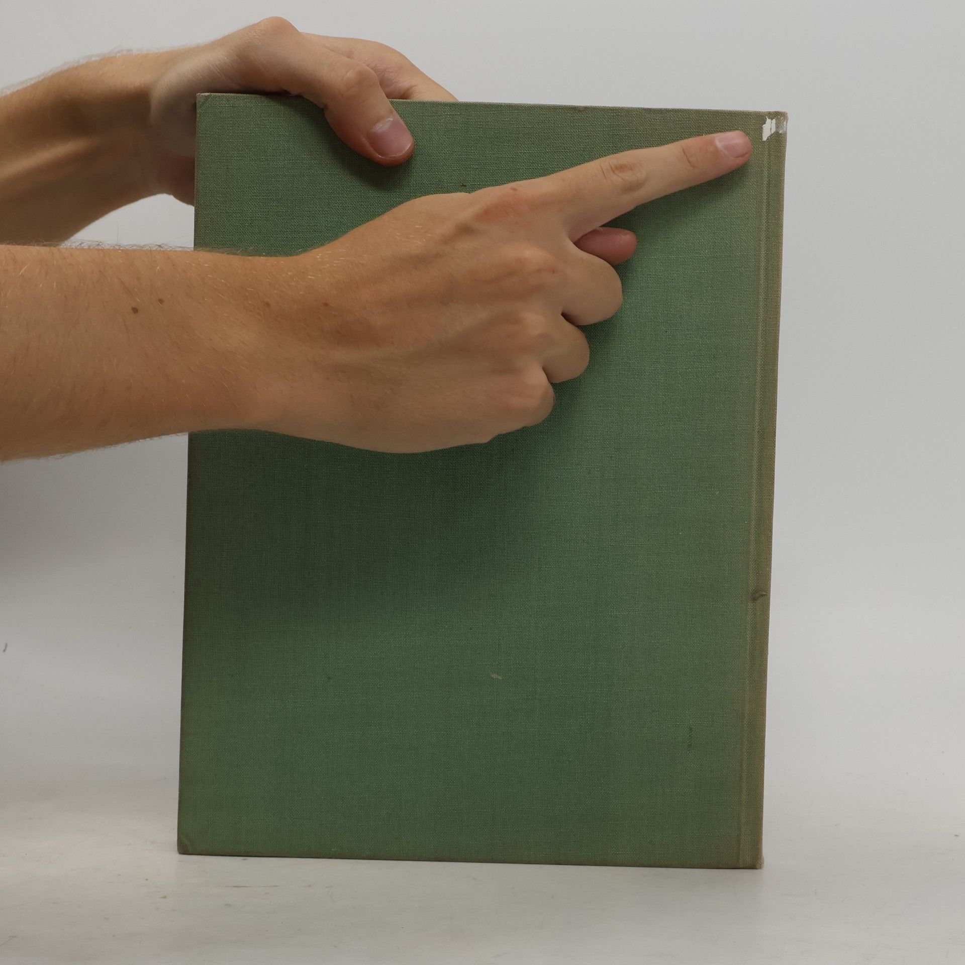 Autores varios Die Dresdner Galerie