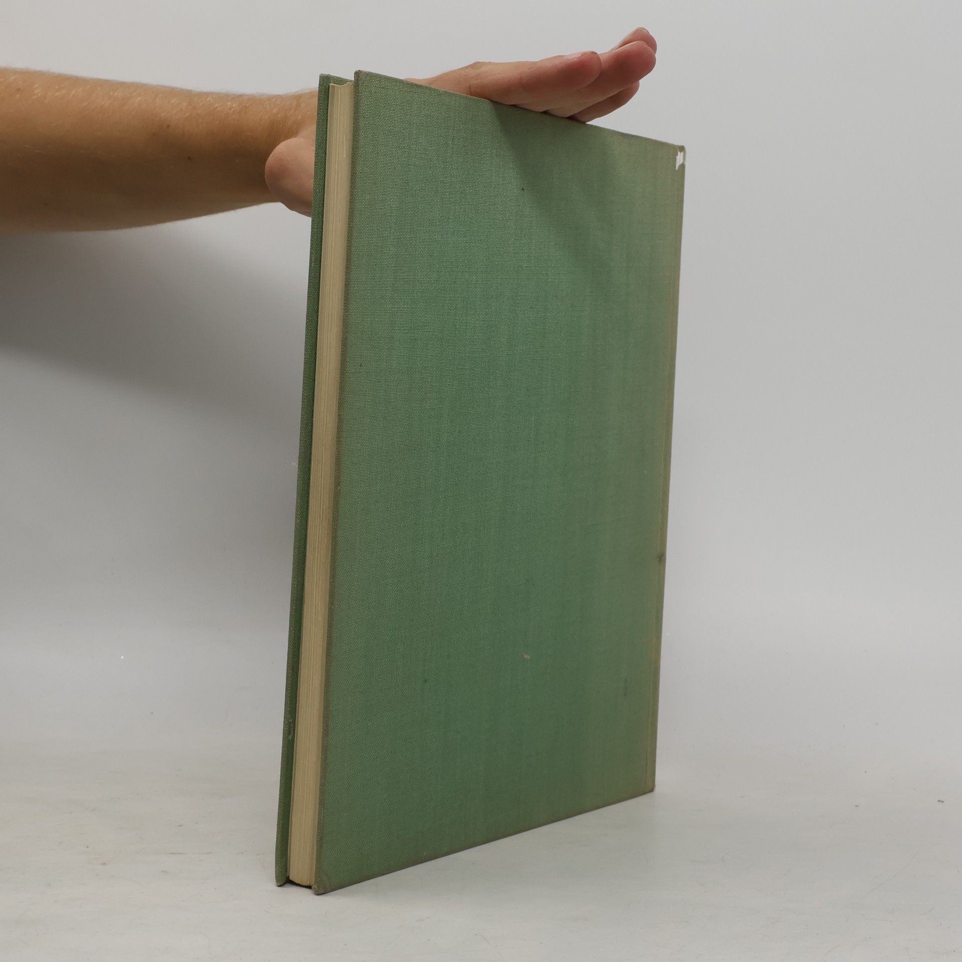 Autores varios Die Dresdner Galerie
