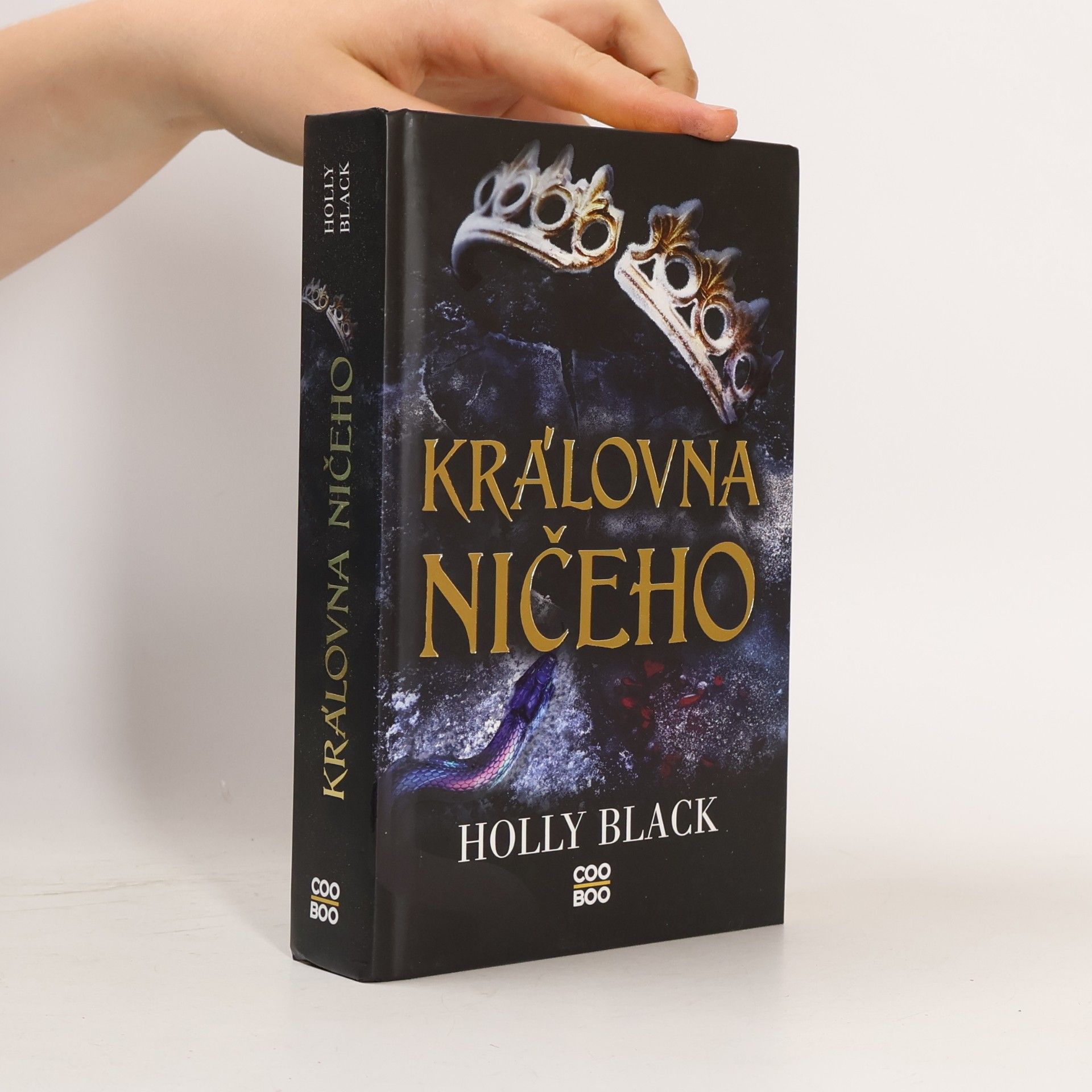 Holly Black Královna ničeho