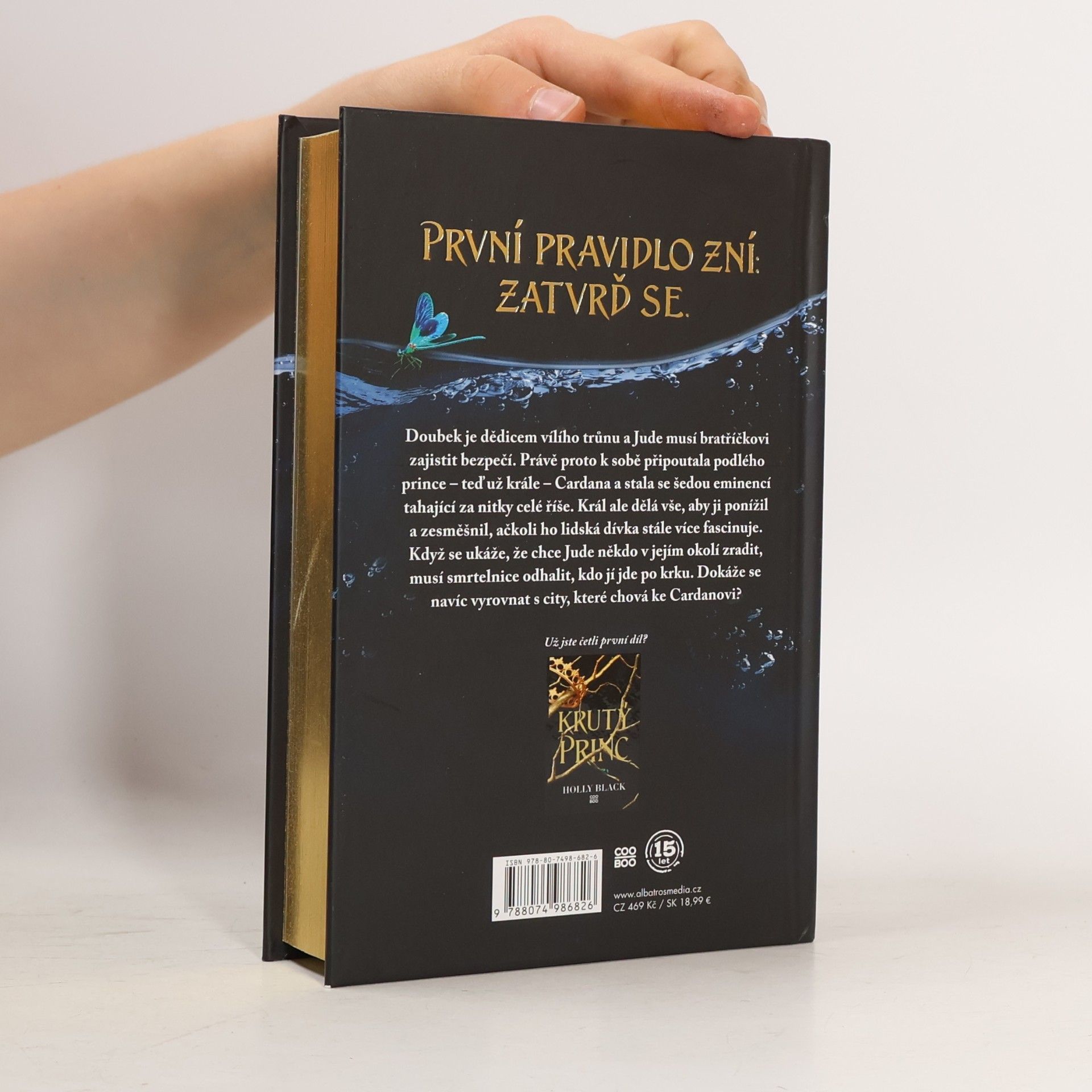 Holly Black Podlý král