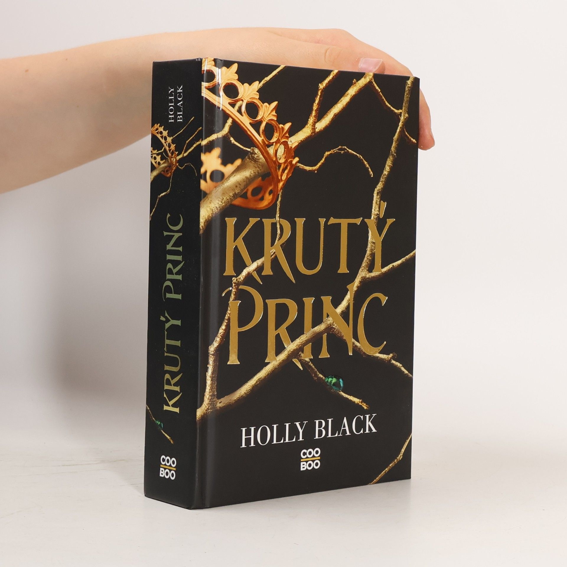 Holly Black Krutý princ