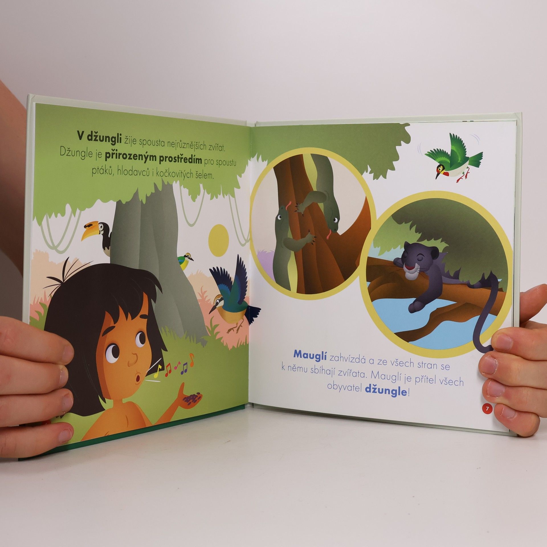Various authors Moji první kamarádi 74: Král Ludvík