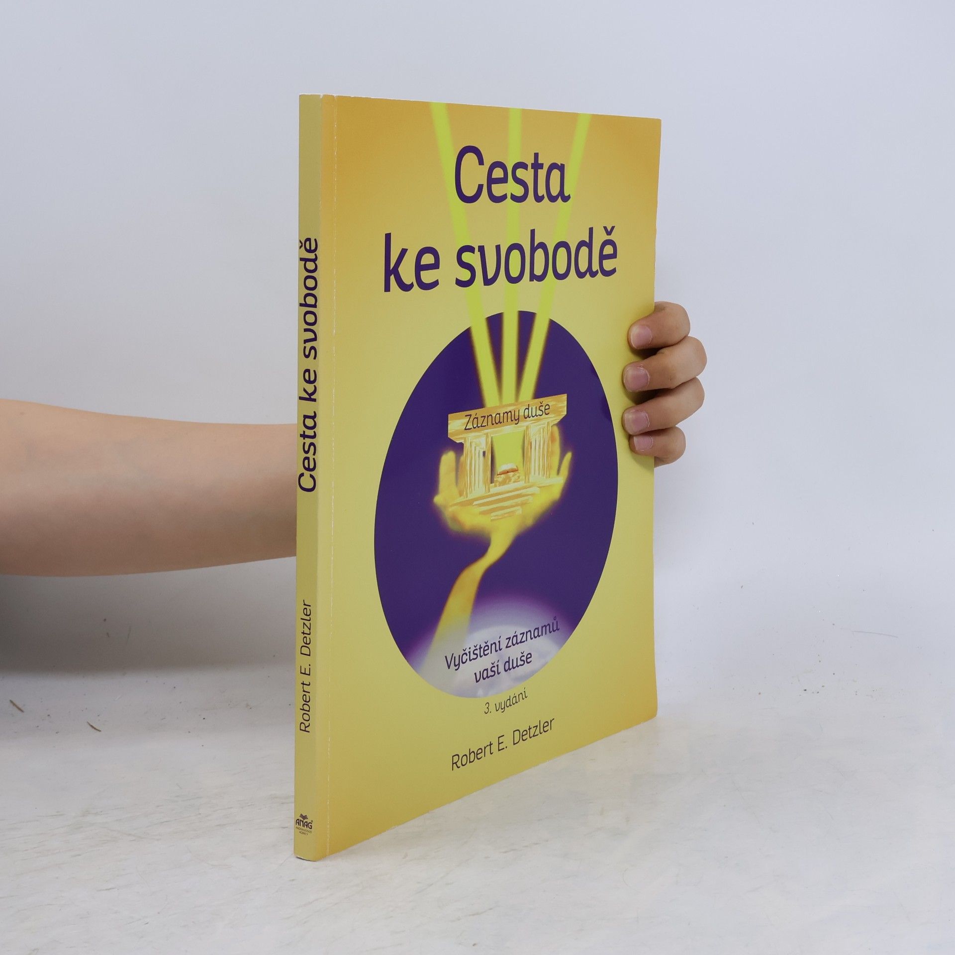 Robert E. Detzler Cesta ke svobodě : vyčištění záznamů vaší duše