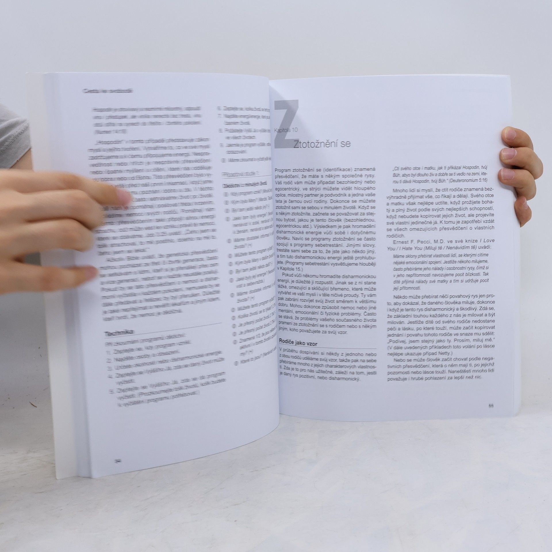 Robert E. Detzler Cesta ke svobodě : vyčištění záznamů vaší duše