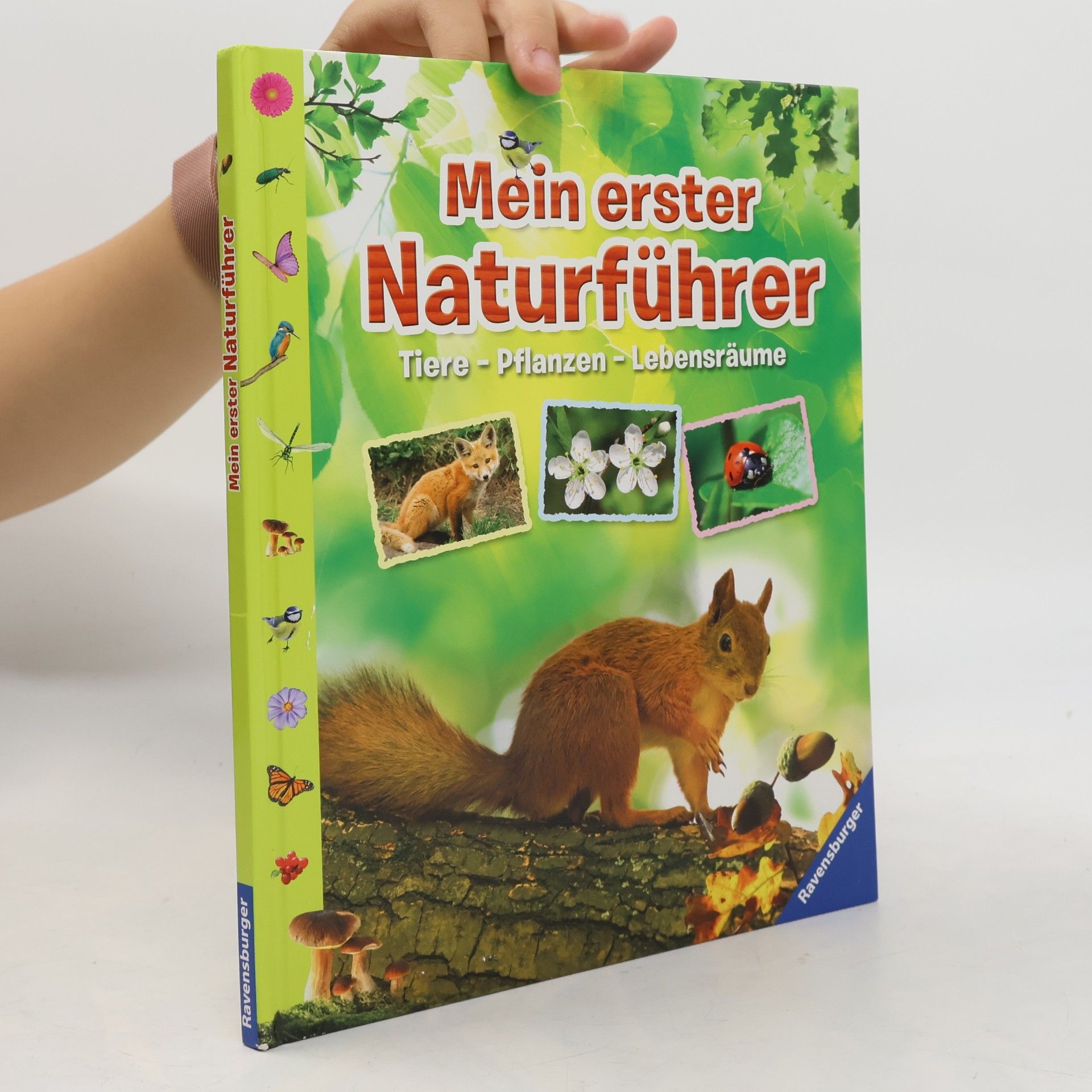 Angelika Lenz Mein erster Naturführer