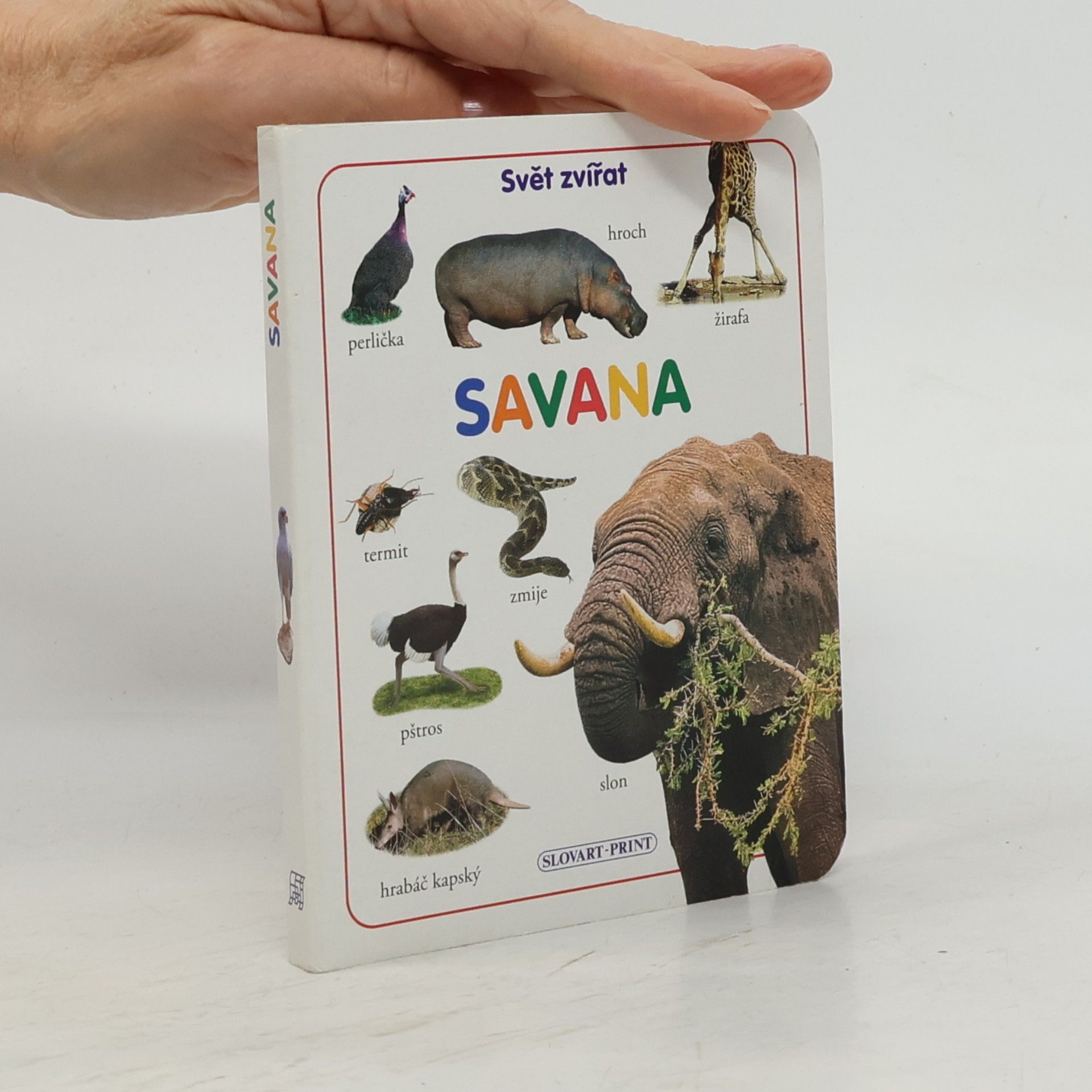 Autorenkollektiv Savana