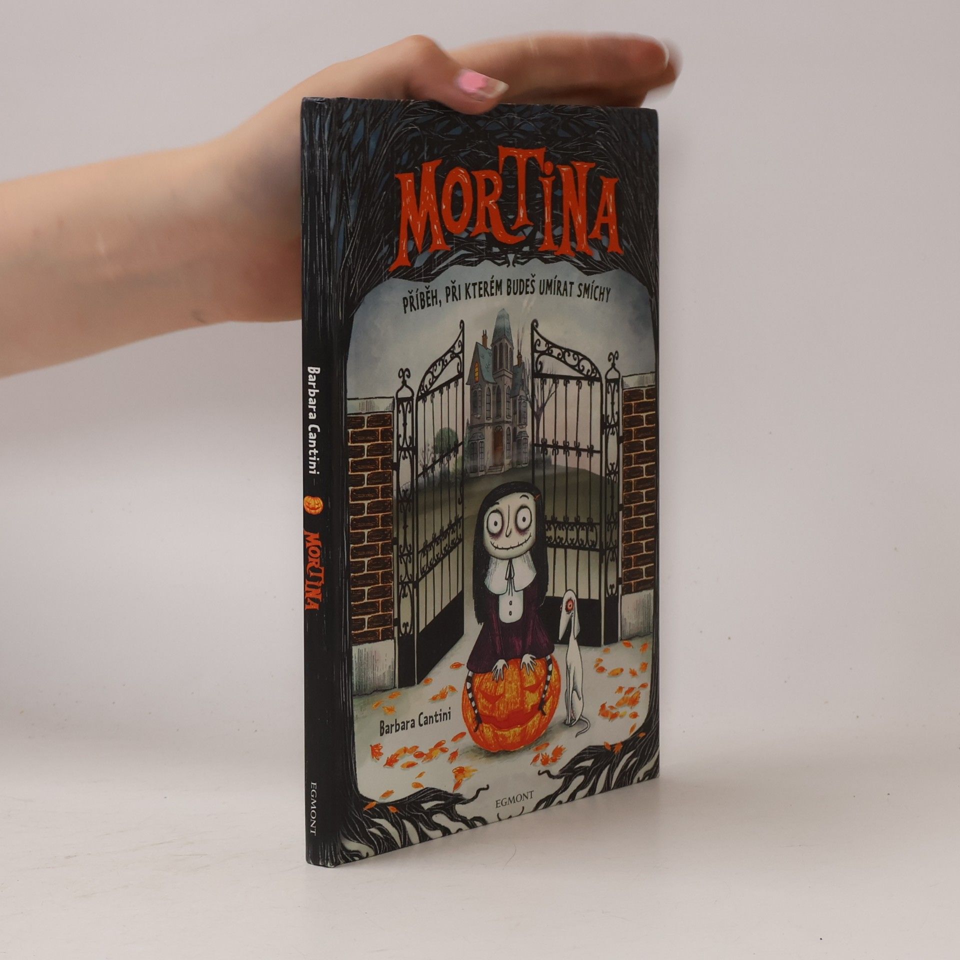 Barbara Cantini Mortina