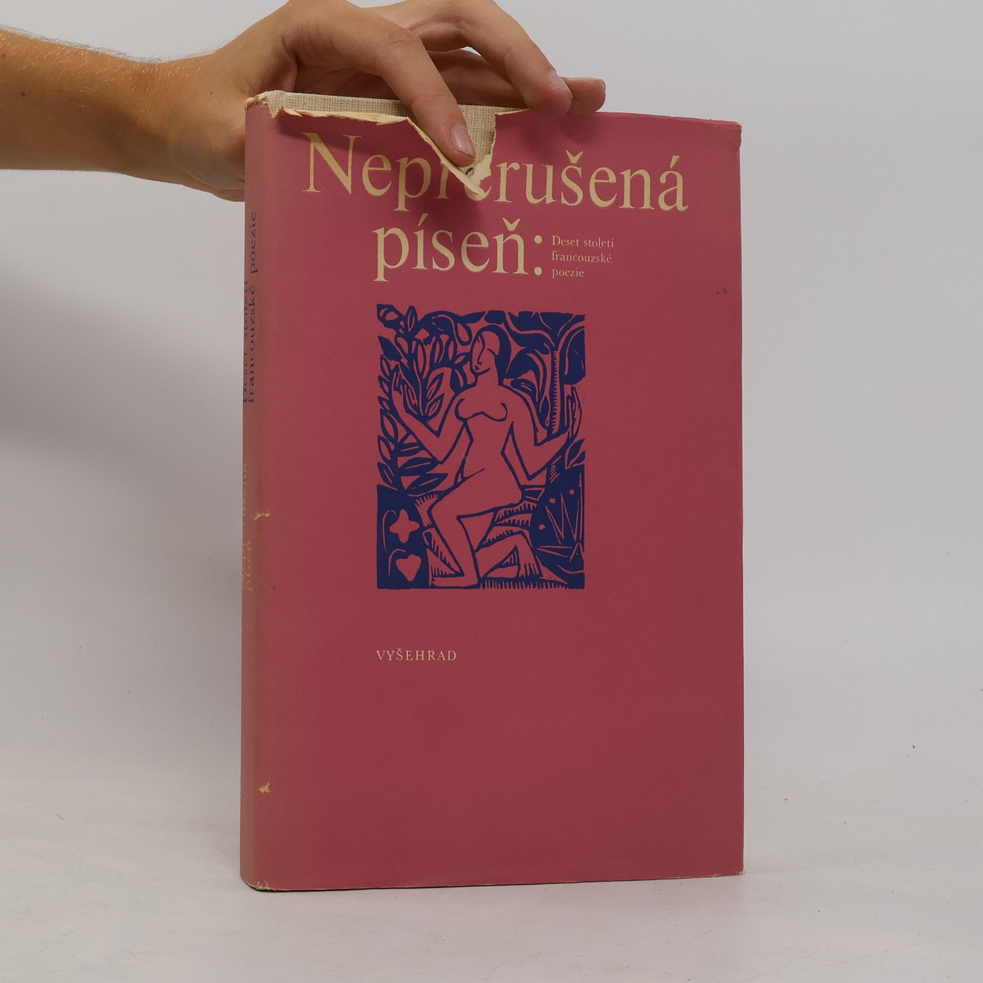 Kolektiv autorů Nepřerušená píseň. Deset století francouzské poezie