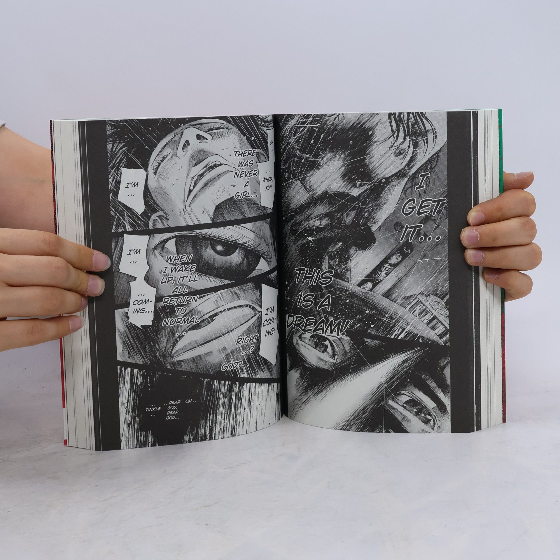Inio Asano Goodnight Punpun. Vol. 2