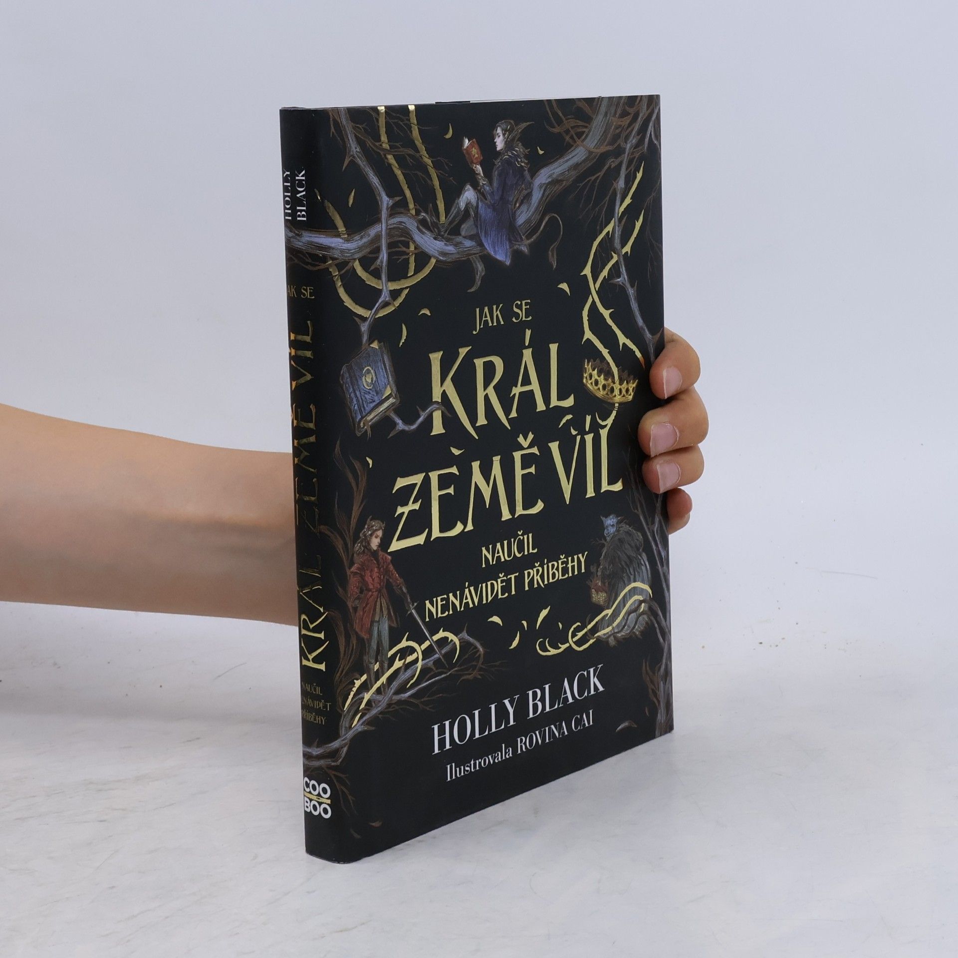Holly Black Jak se král Země víl naučil nenávidět příběhy
