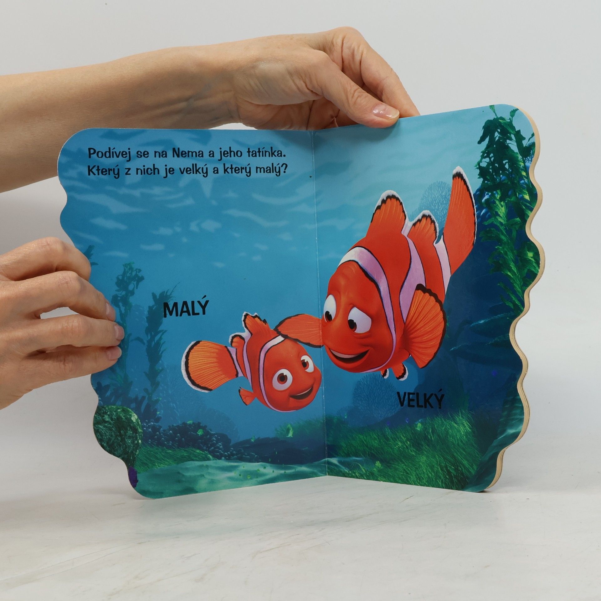 Walt Disney Hledá se Nemo - protiklady