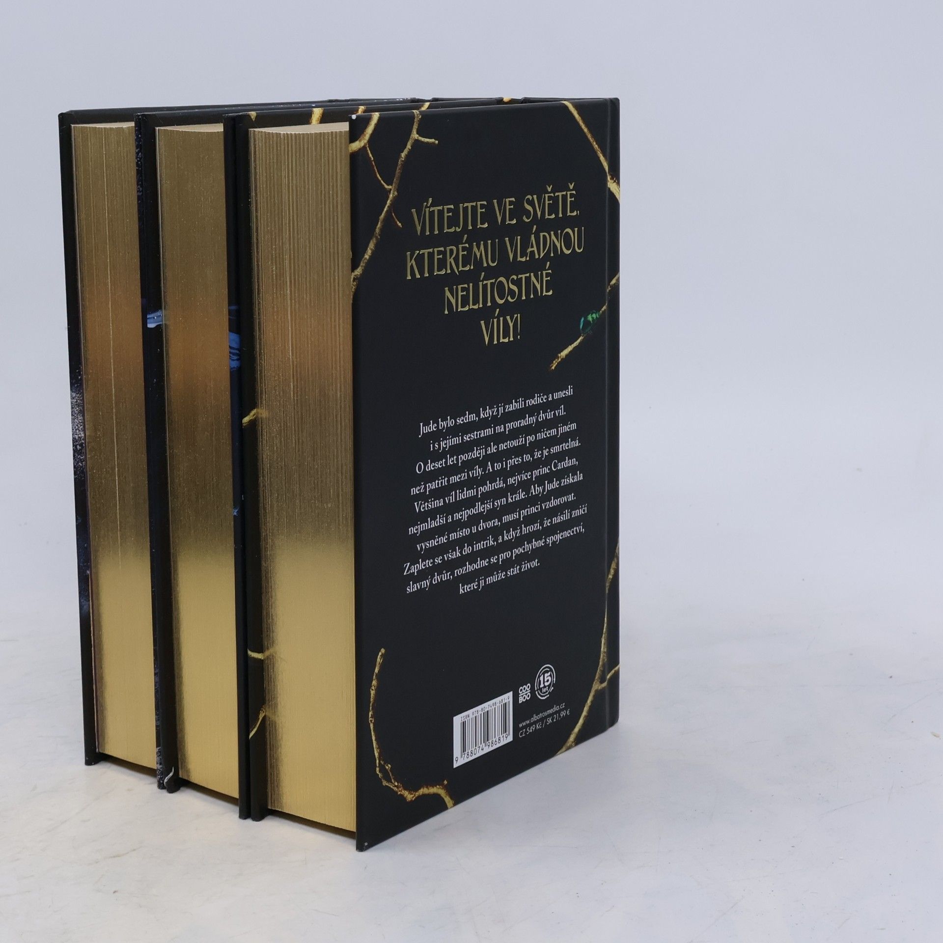 Holly Black Krutý princ - box