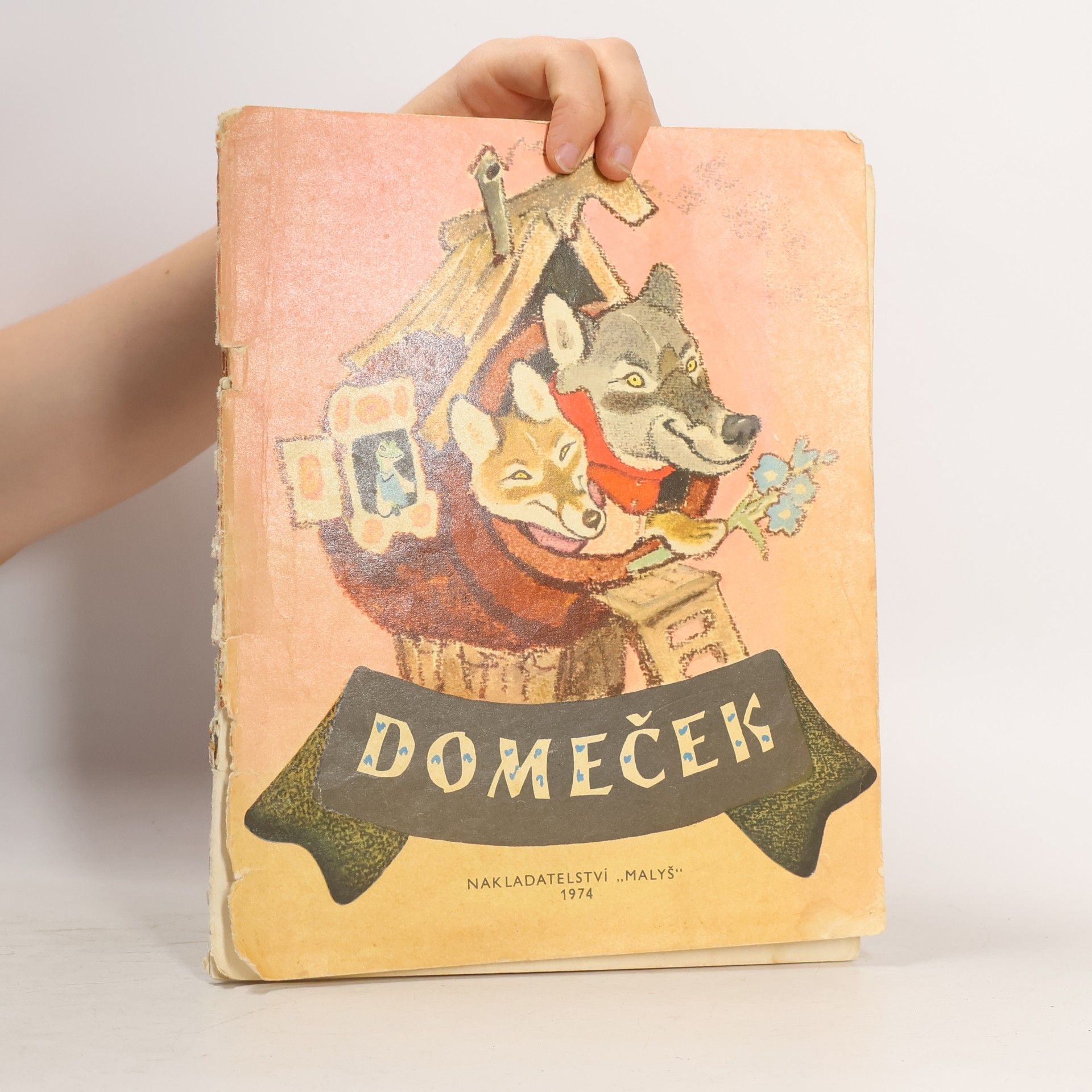 Collectif d'auteurs Domeček