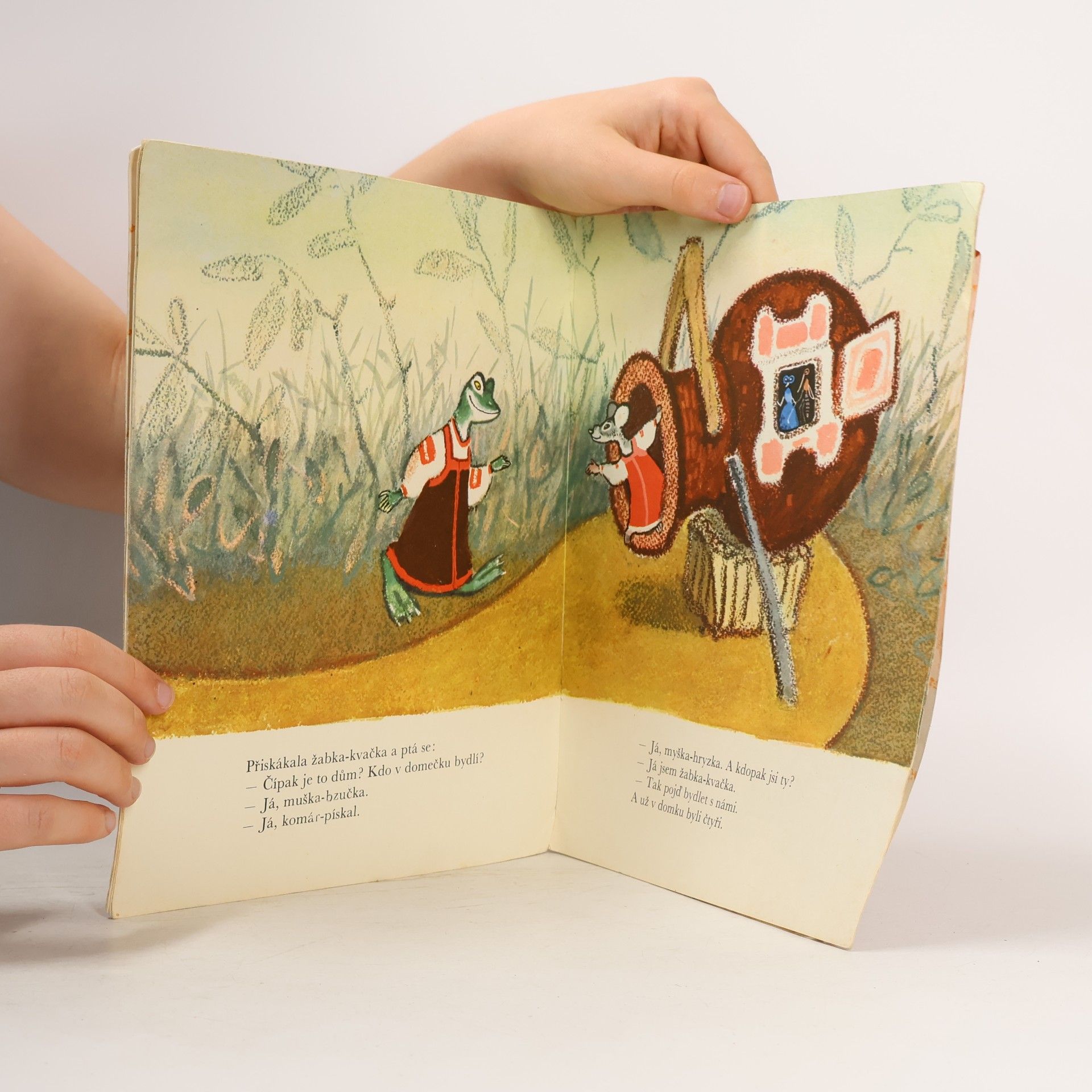 Collectif d'auteurs Domeček