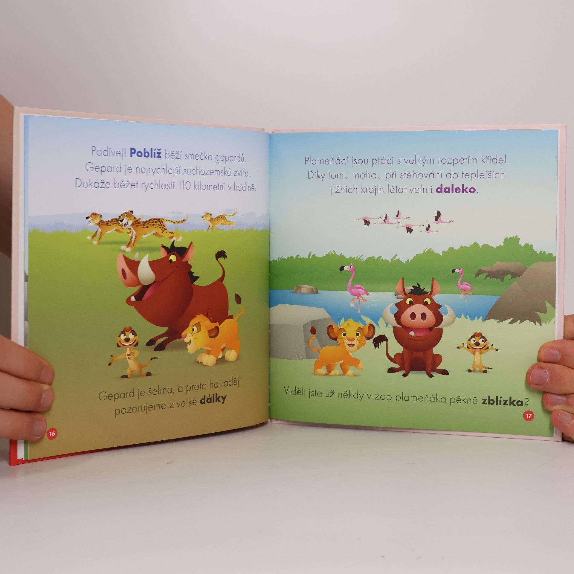Various authors Moji první kamarádi 43: Pumba