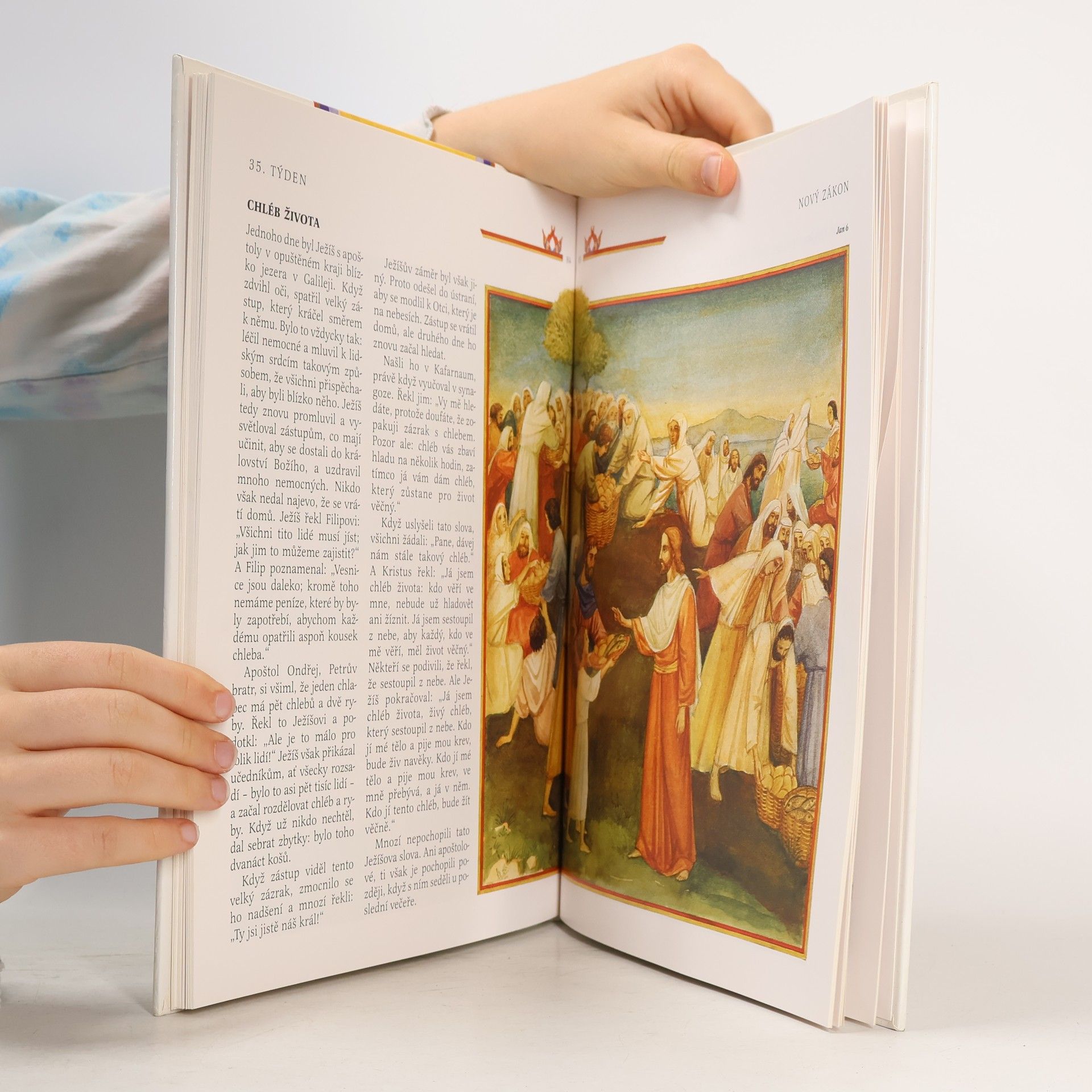 Roberto Brunelli Bible svatá pro děti : příběhy na celý rok