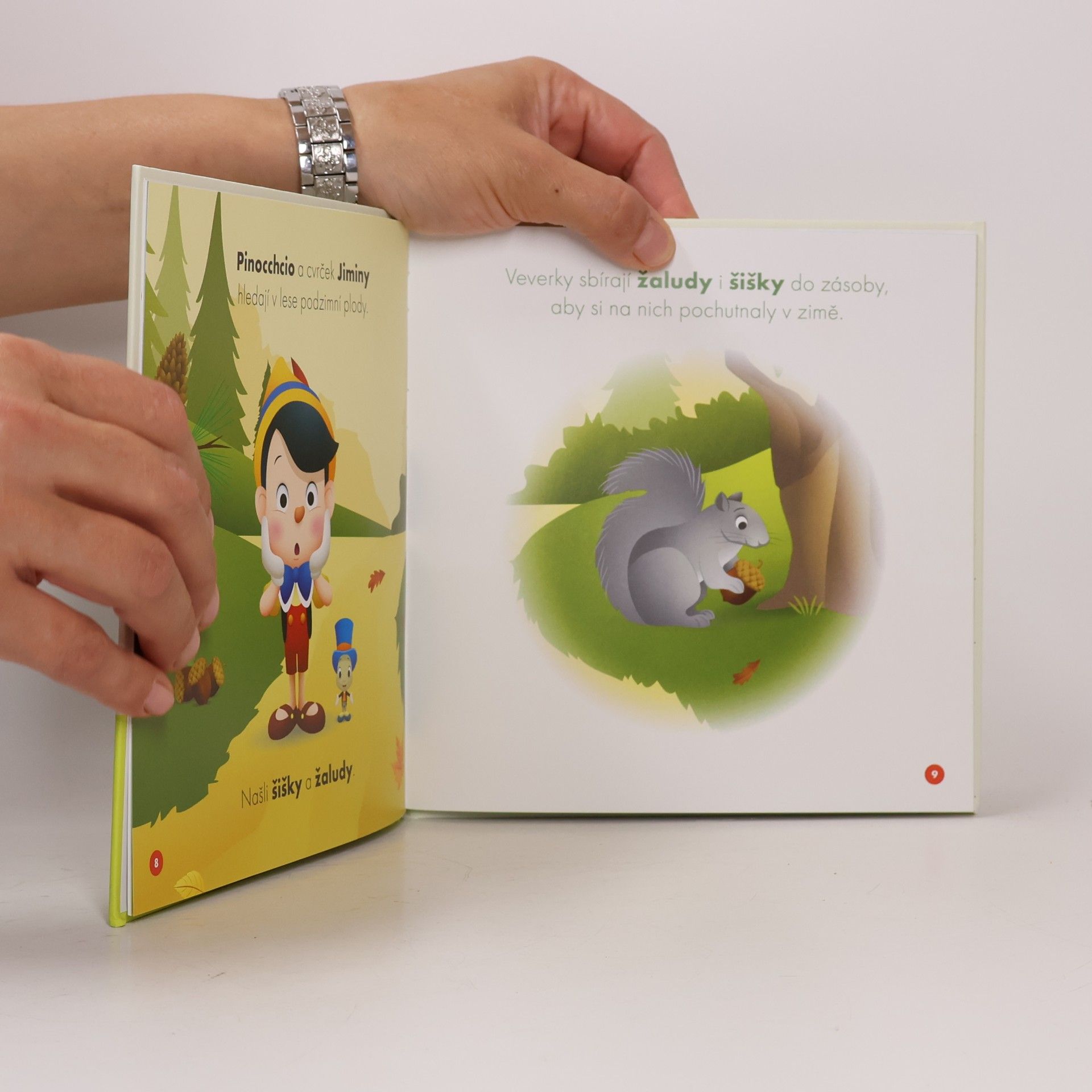 Various authors Moji první kamarádi: Pinocchio