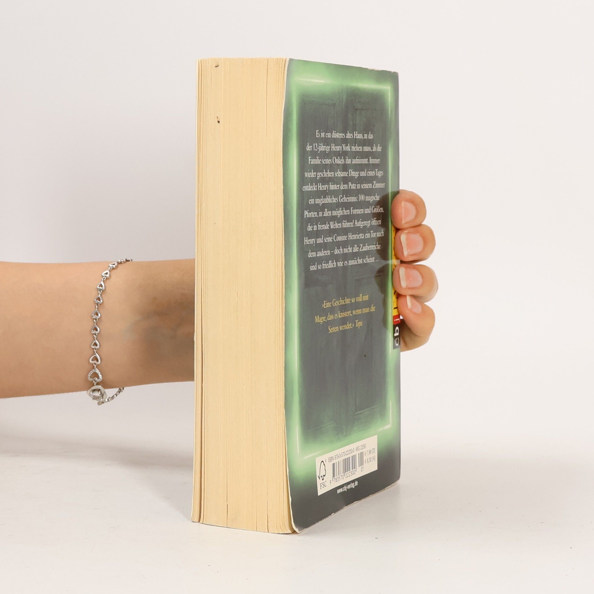 N. D. Wilson Das Geheimnis der 100 Pforten