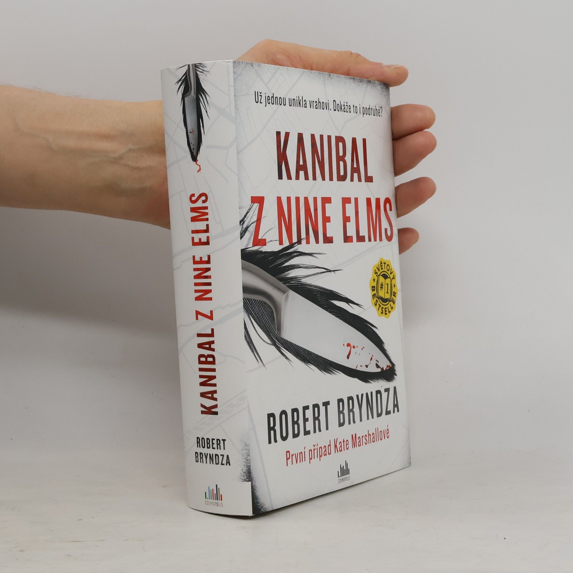 Robert Bryndza Kanibal z Nine Elms