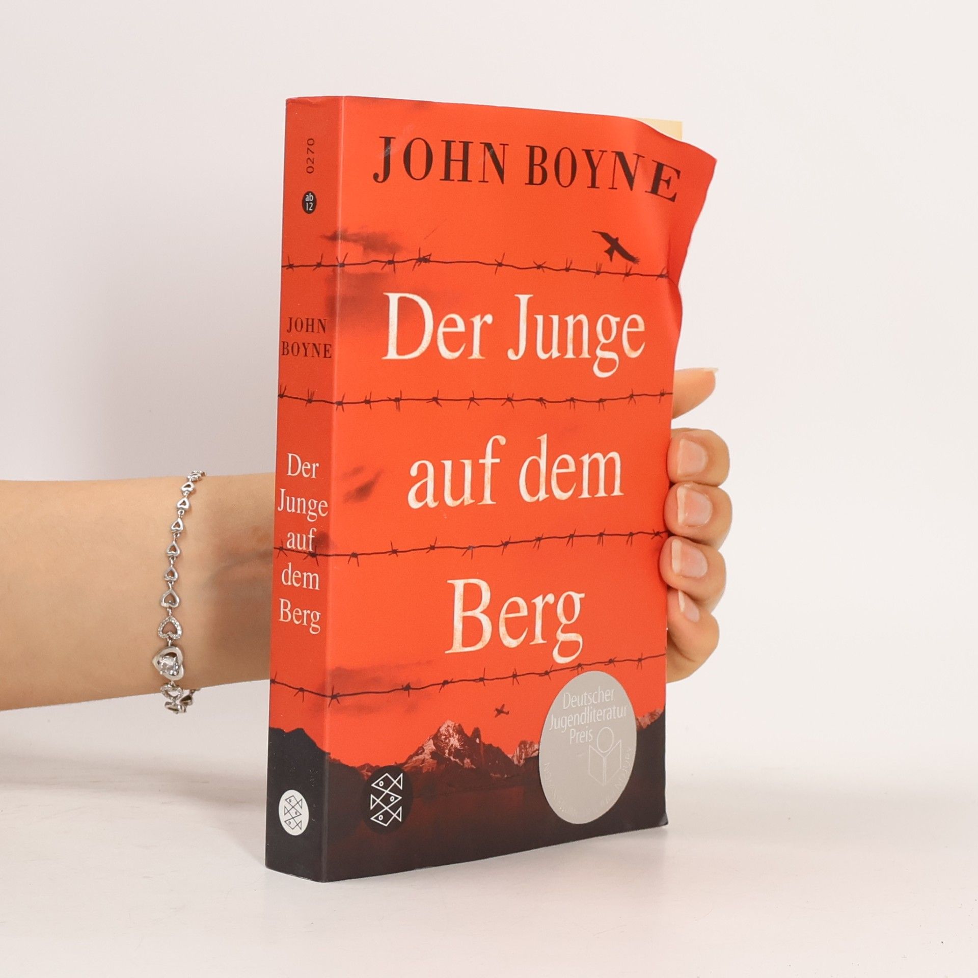 John Boyne Der Junge auf dem Berg